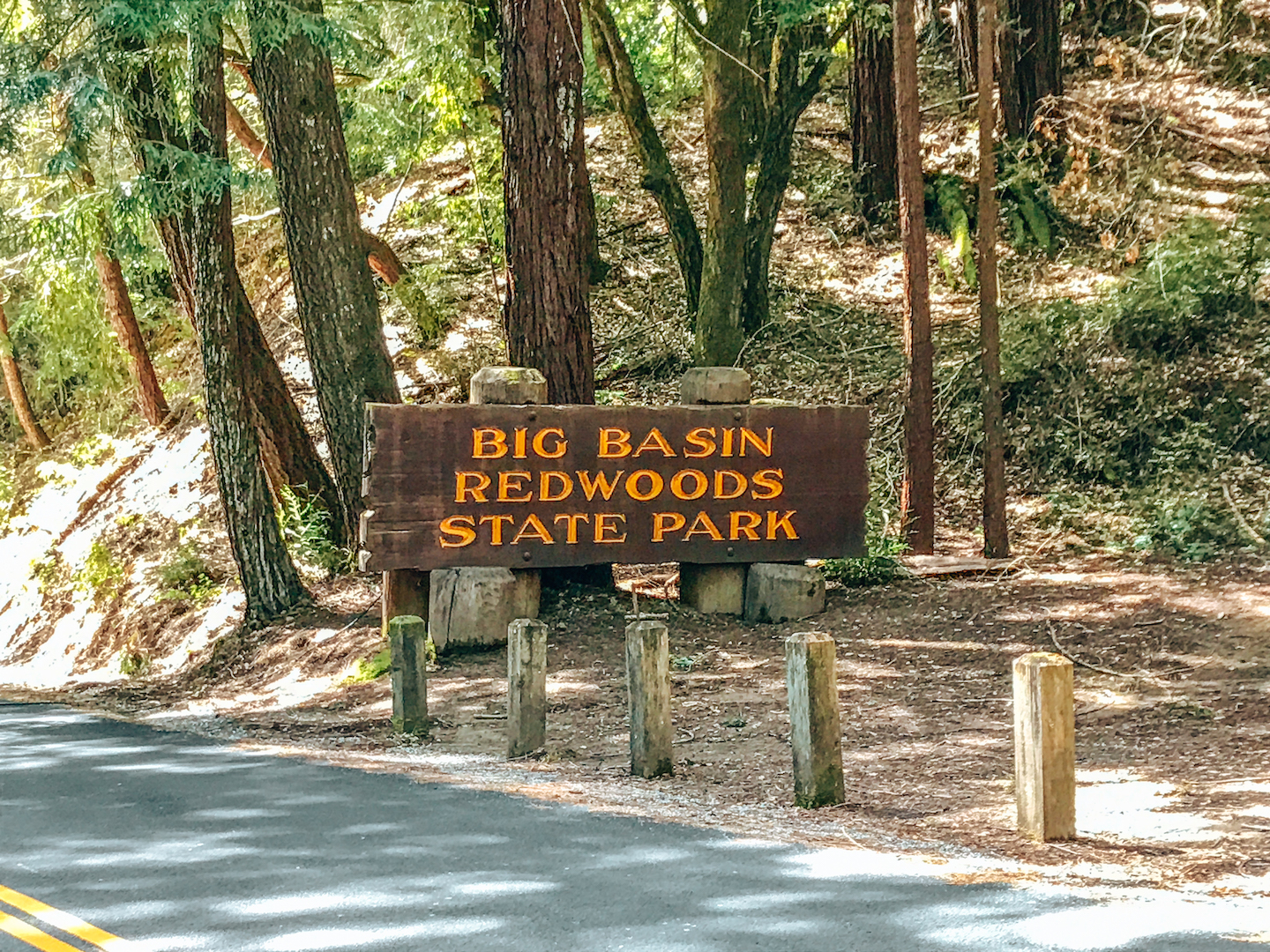 Big Basin Redwoods State Park - Boulder Creek, California