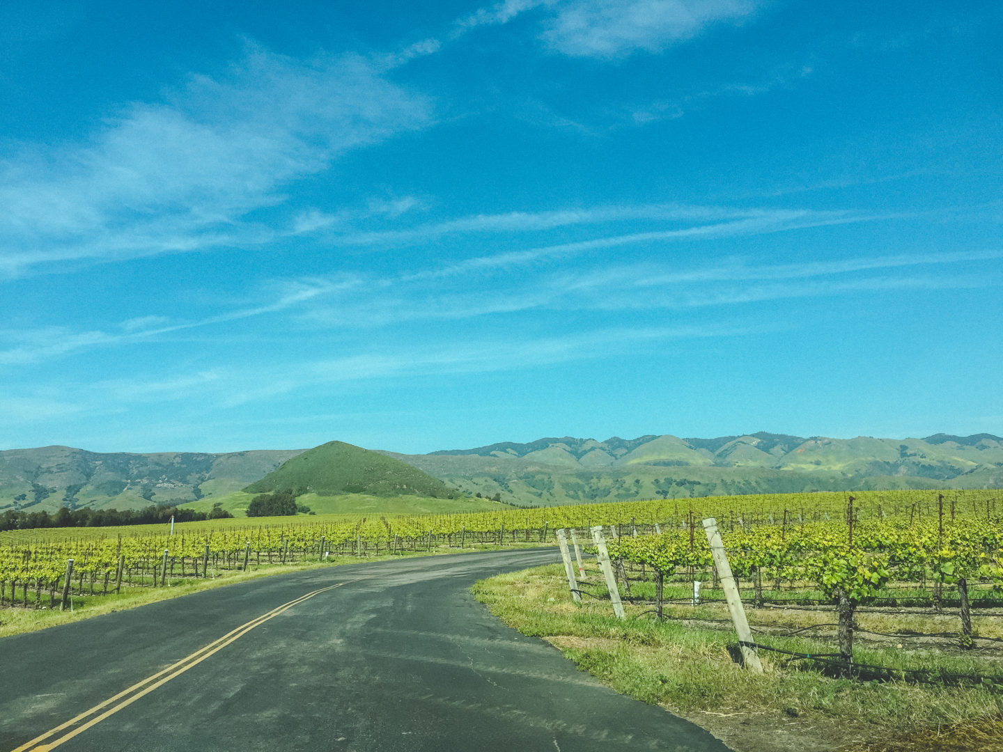 San Luis Obispo Wine Country - San Luis Obispo, California