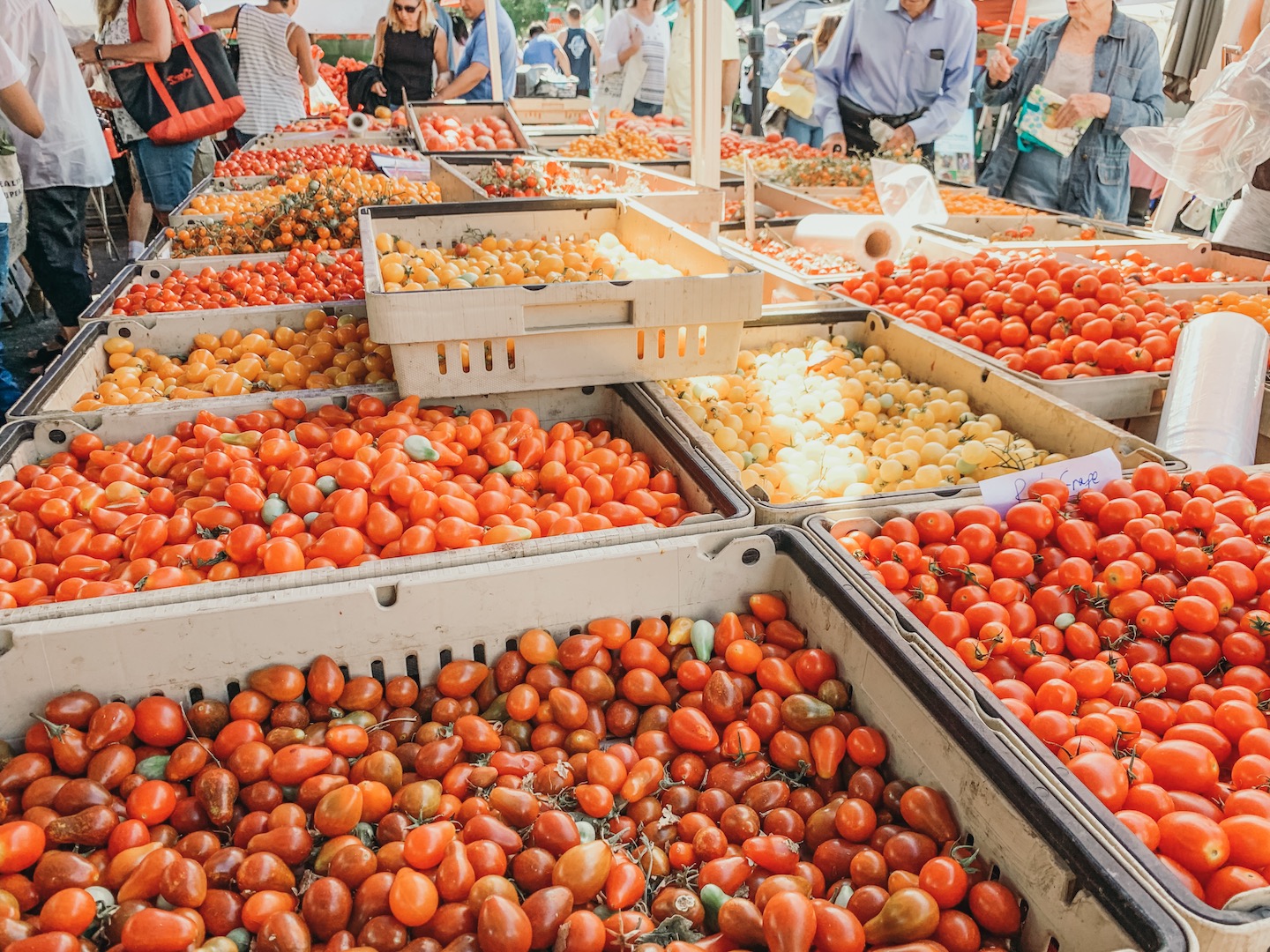 Fresh tomatoes at farmers market