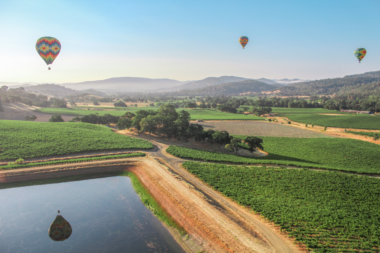 Hot air balloons over Napa Valley, California
