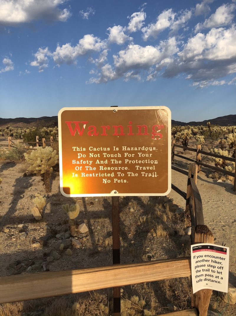 5 MUST-DO ACTIVITIES IN JOSHUA TREE NATIONAL PARK - Smilkos Lens