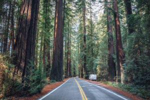 redwood parkway drury