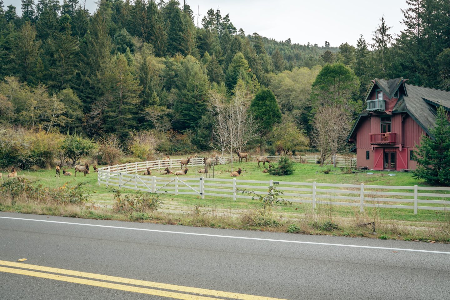 Cabin near Orick - Orick, California