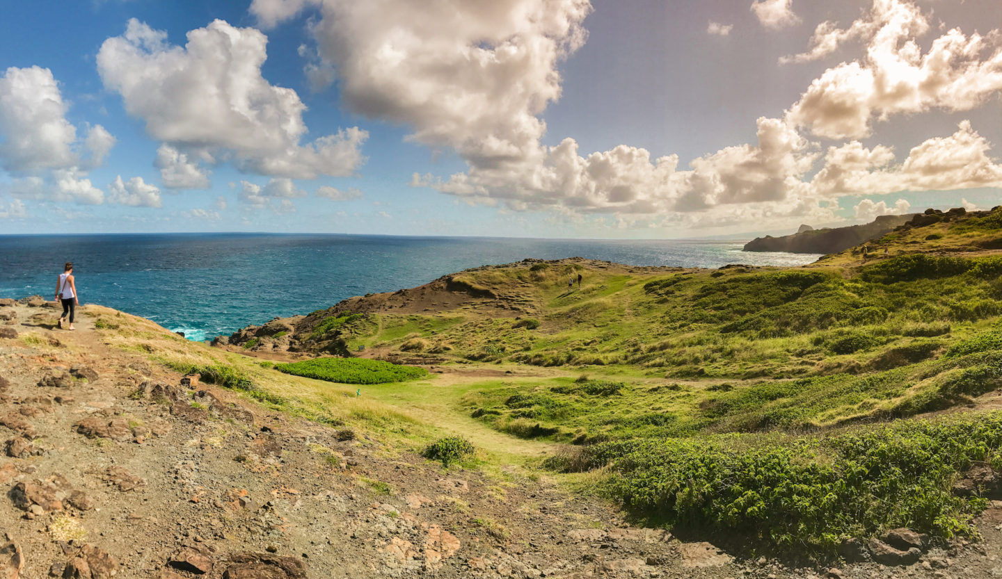 View of coast from Nakalele Point - Maui Hawai'i