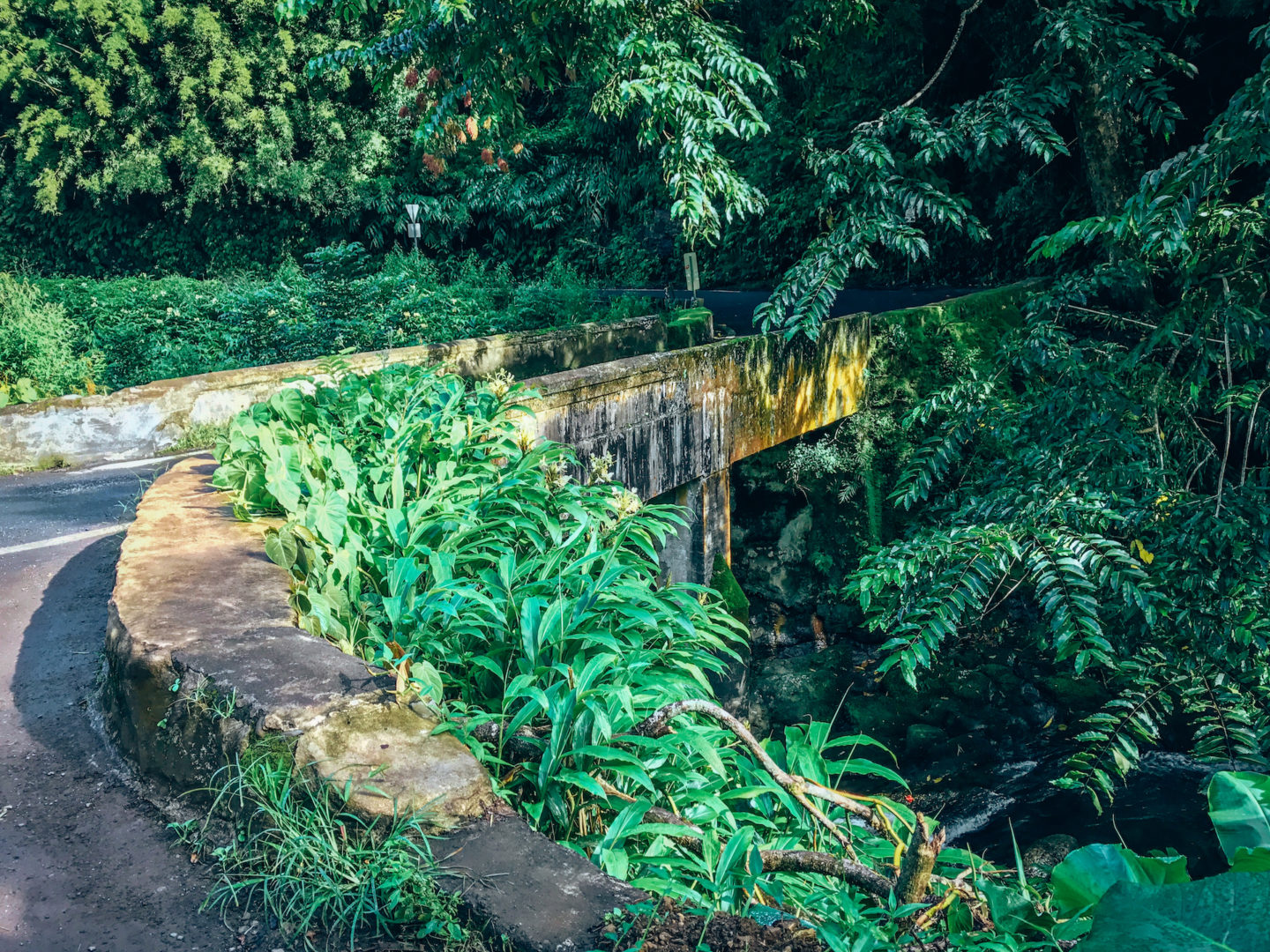 Narrow one-lane bridge - Road to Hana, Maui Hawai'i