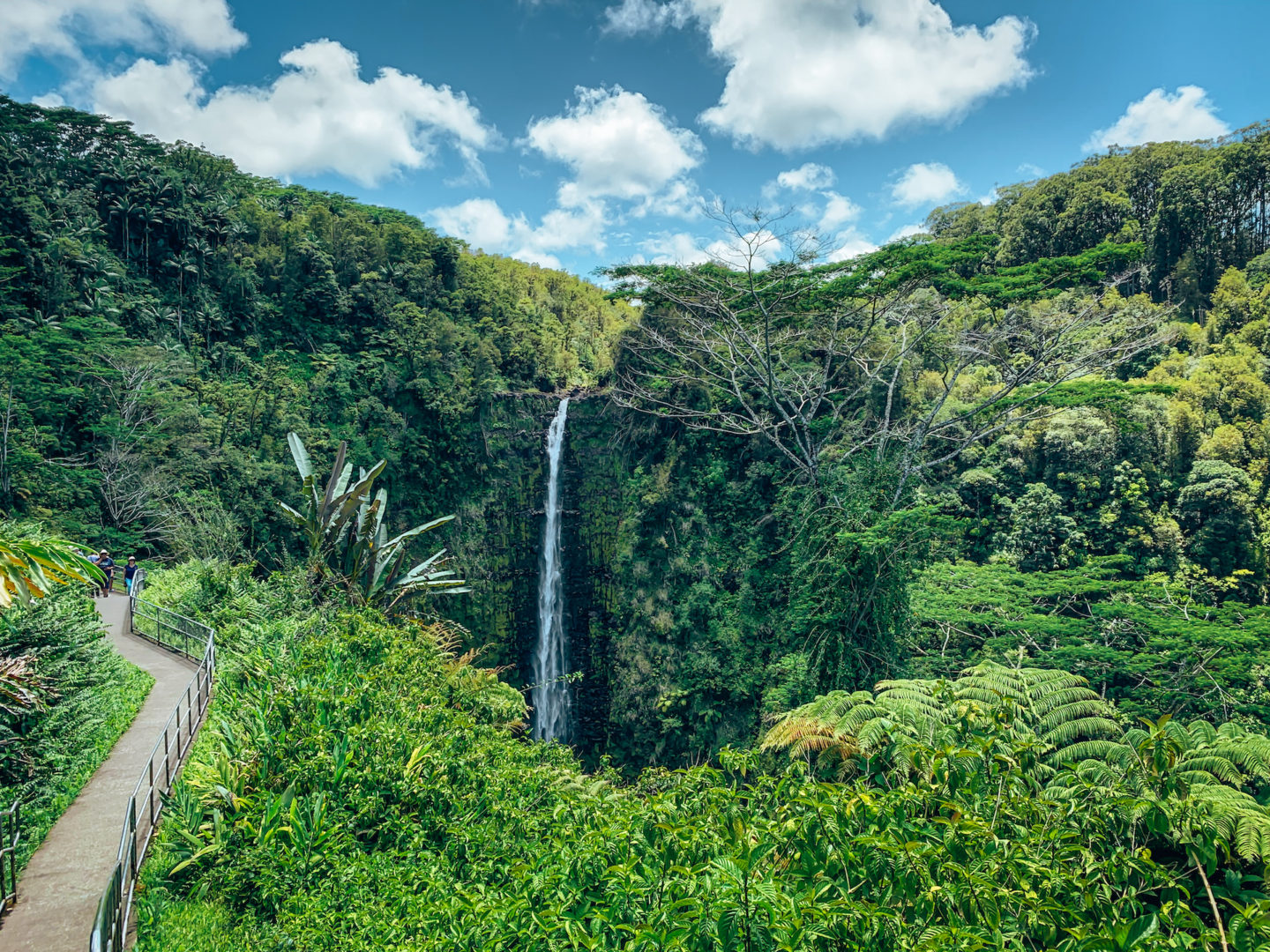 Akaka Falls - Akaka Falls State Park, Hawaii Island