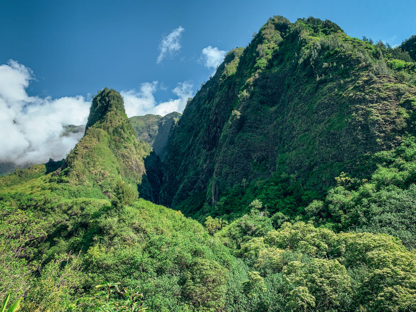 ‘Iao Valley State Monument and Park - Maui Hawai'i