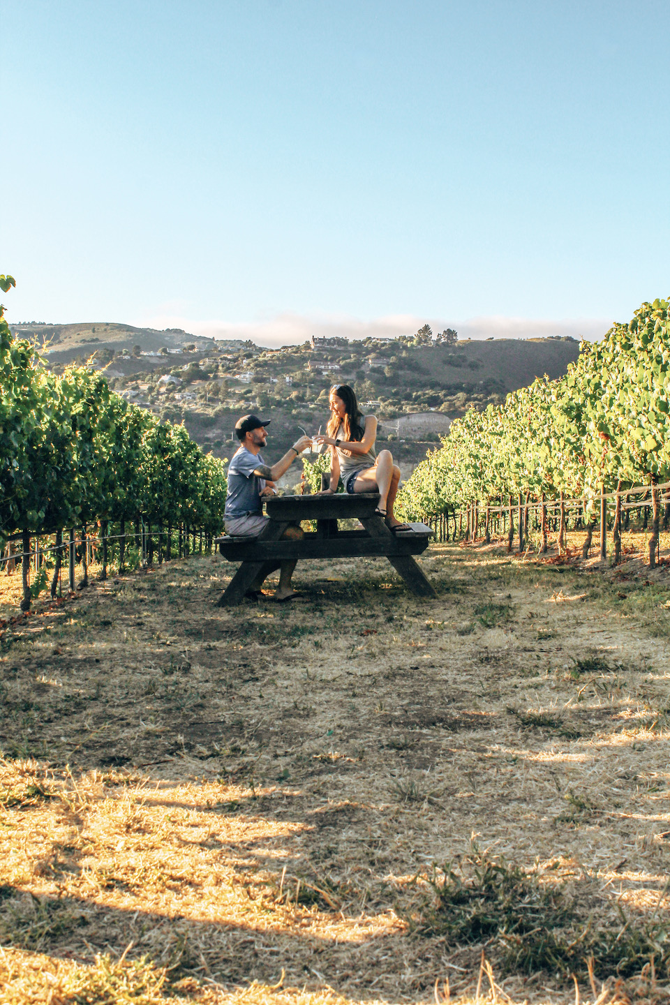 Vineyard at Carmel Valley Ranch - Carmel Valley