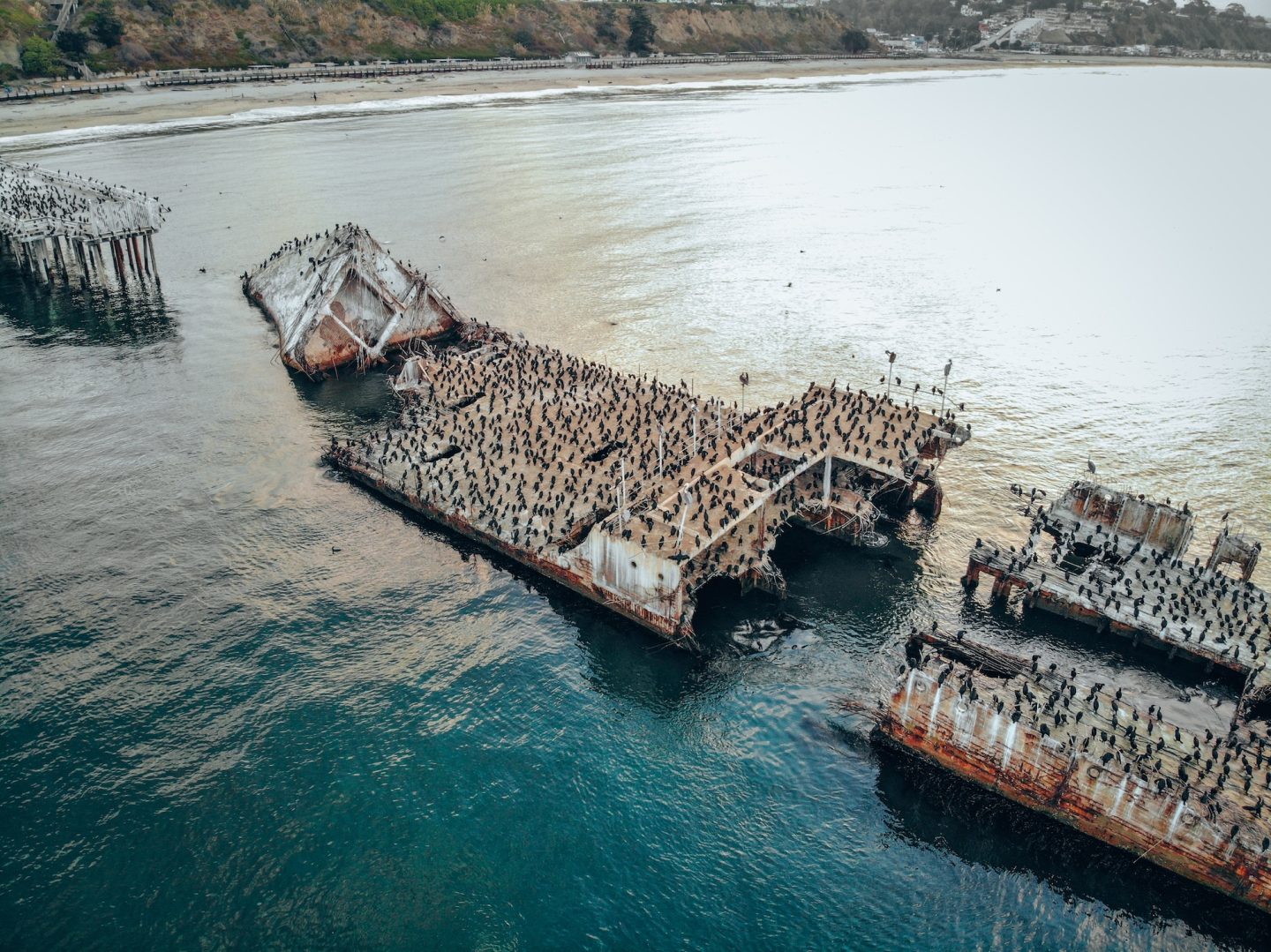 SS Palo Alto Shipwreck - Aptos, California