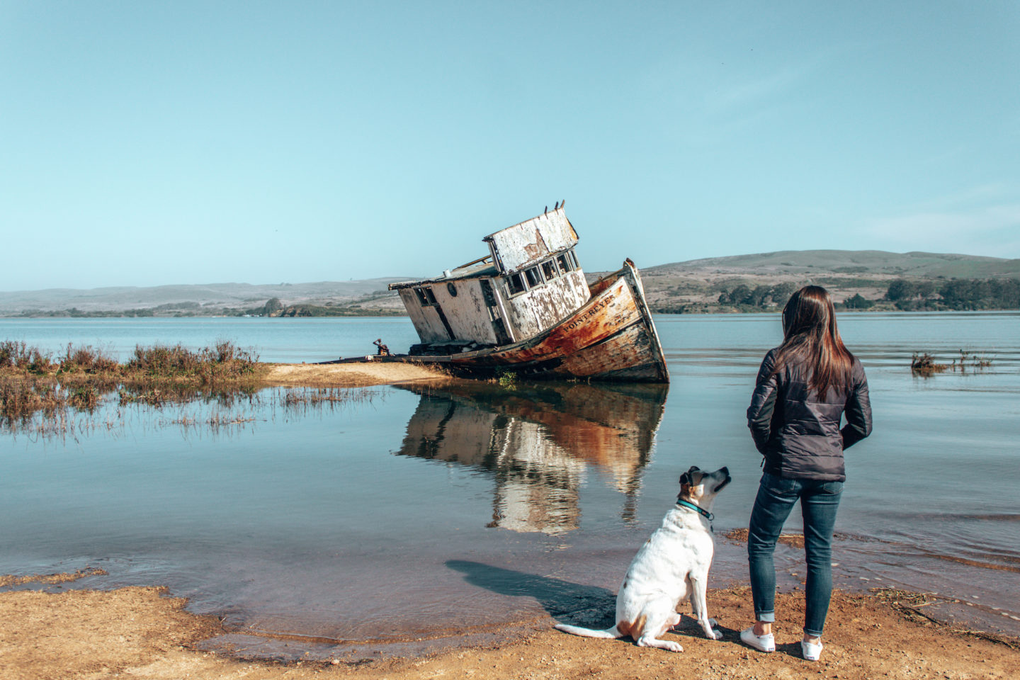 Point Reyes Shipwreck - Inverness, CA
