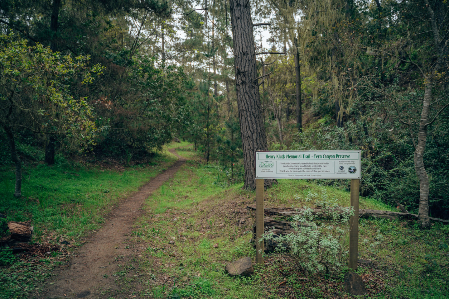 Henry Kluck Memorial Trail - Fern Canyon - Cambria, CA