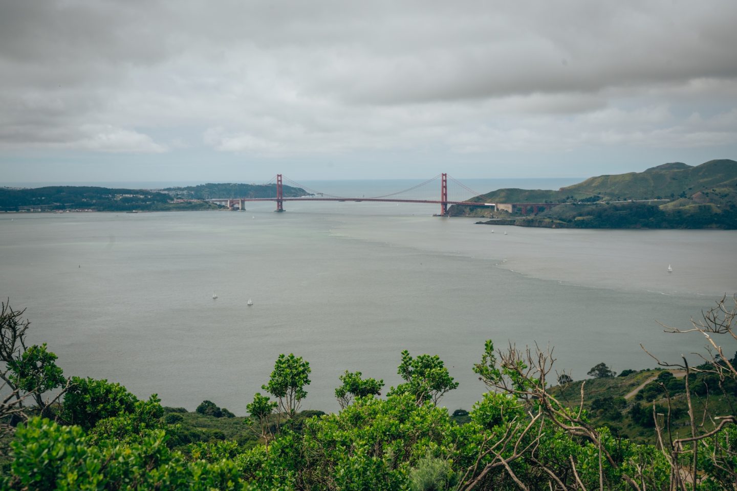 View of Golden Gate Bridge from Angel Island State Park - Tiburon, California