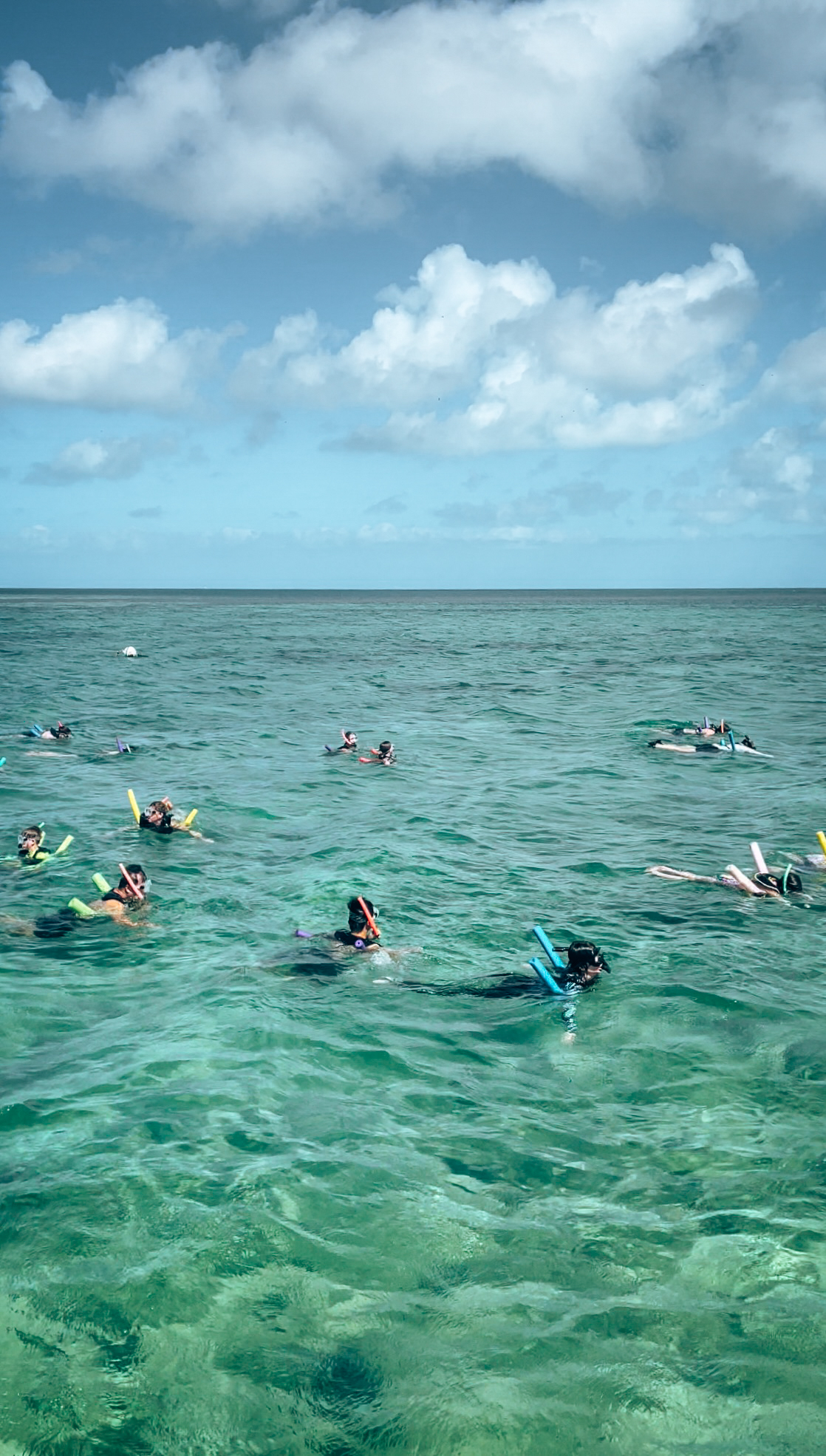 Searching for Florida Keys Marine Life! - Fury Watersports, Key West