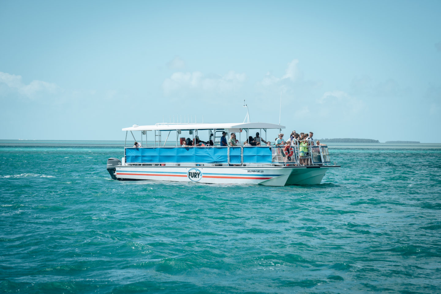 Dolphin Watch & Snorkel Tour - Fury Watersports, Key West