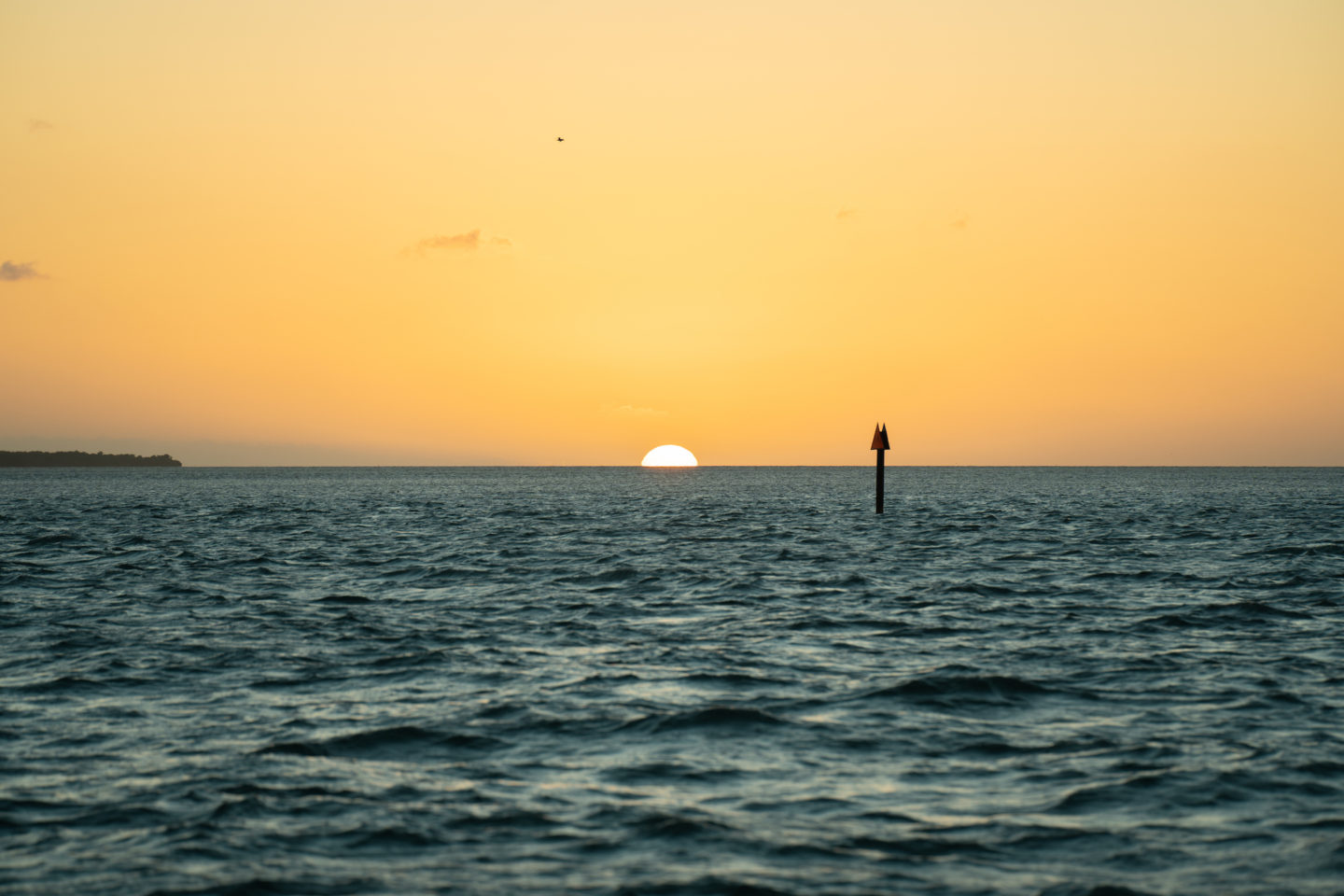 Sunset Sail & Dolphin Watch - Sebago Watersports, Key West