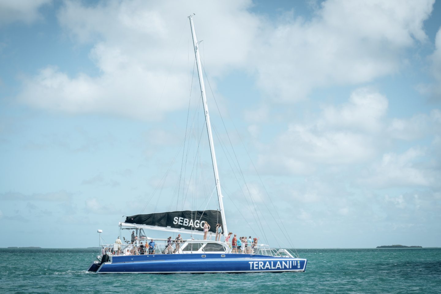 Sunset Sail & Dolphin Watch - Sebago Watersports, Key West