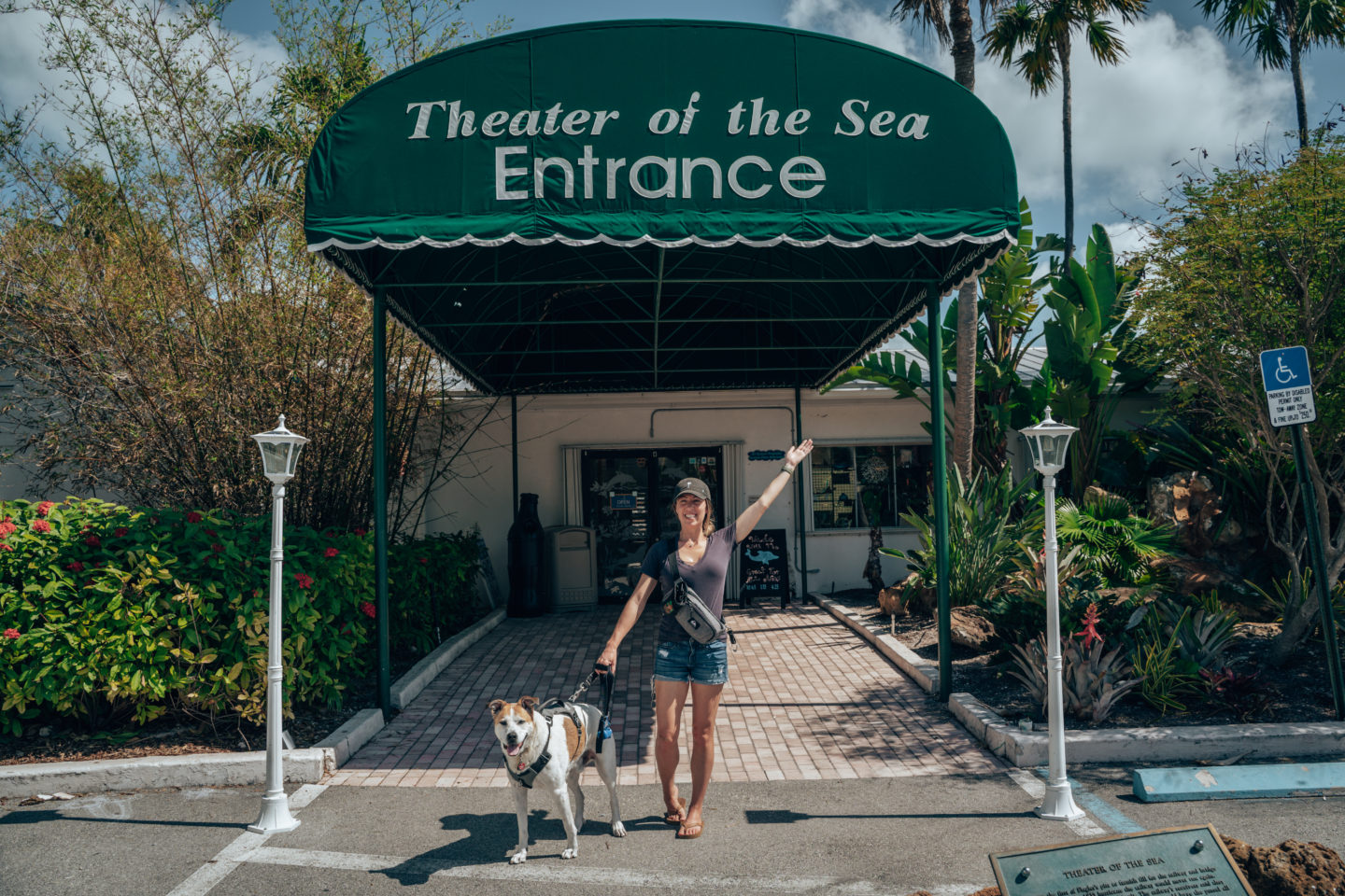 Theater of The Sea - Islamorada