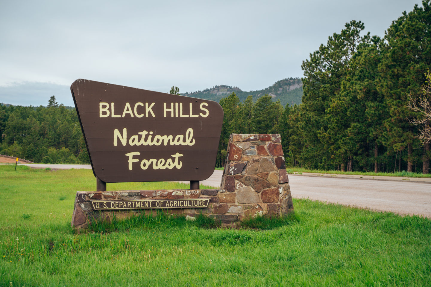 Black Hills National Forest - South Dakota