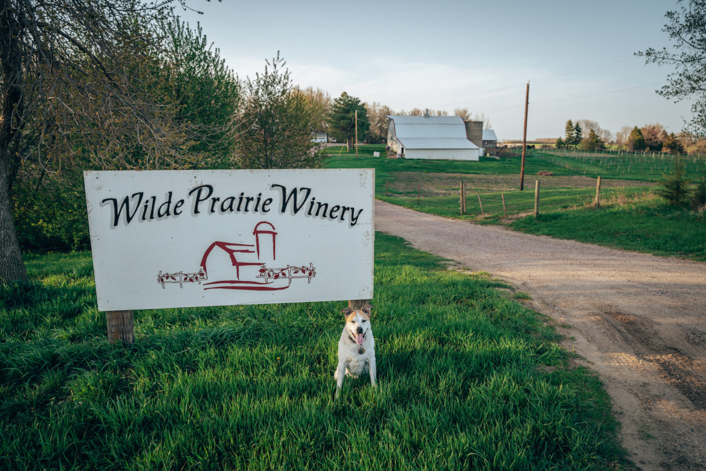 Wilde Prairie Winery - Brandon, South Dakota