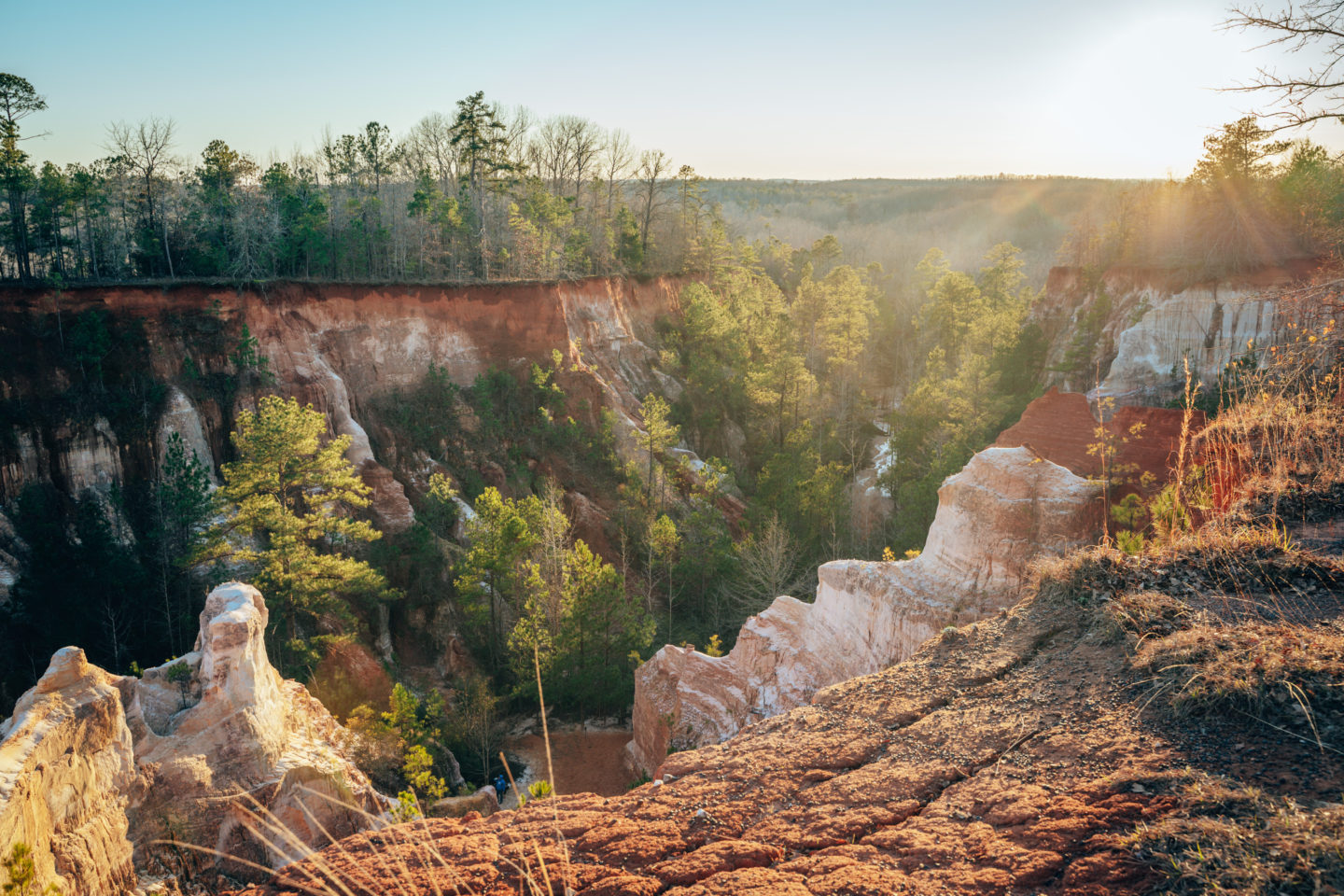 View of the late afternoon sun shining down a canyon in Providence Canyon 
