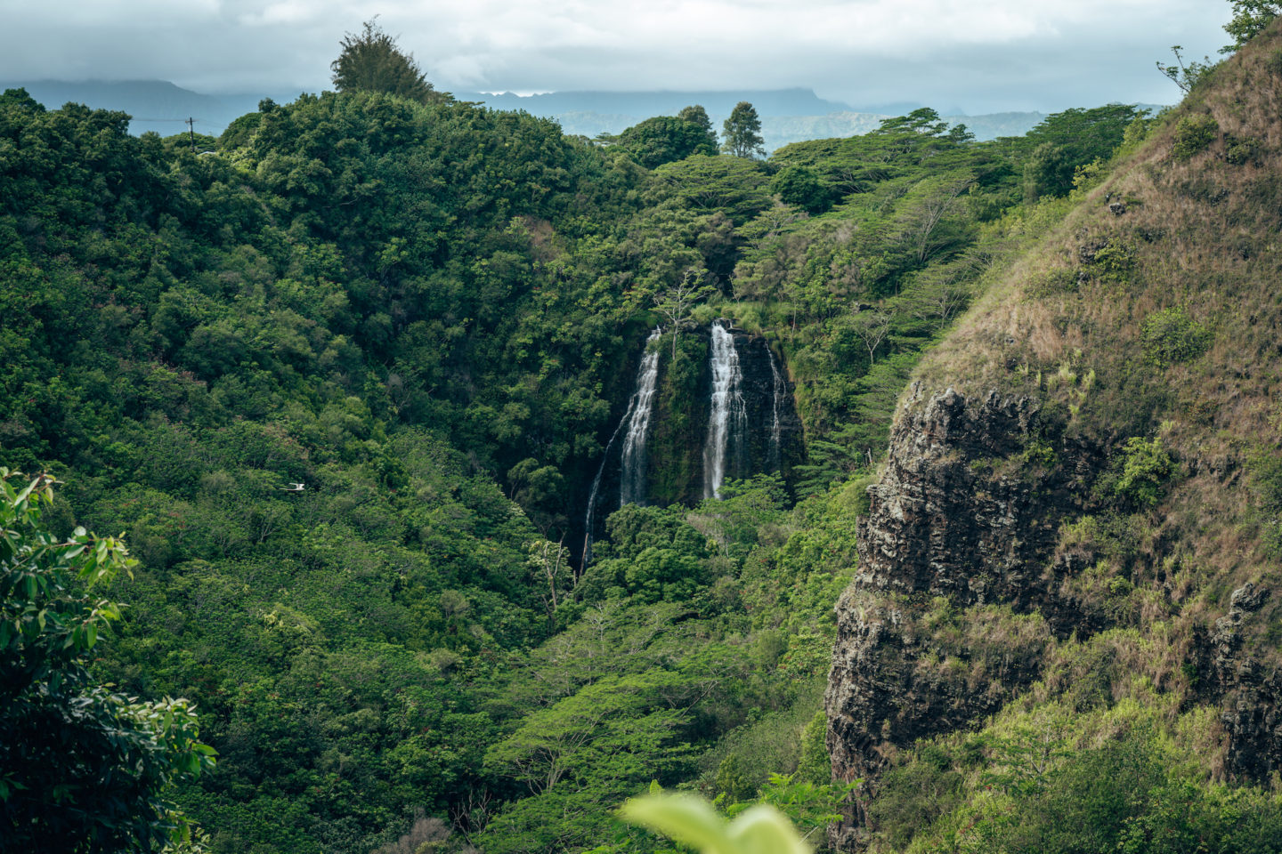 ‘Ōpaeka’a Falls 