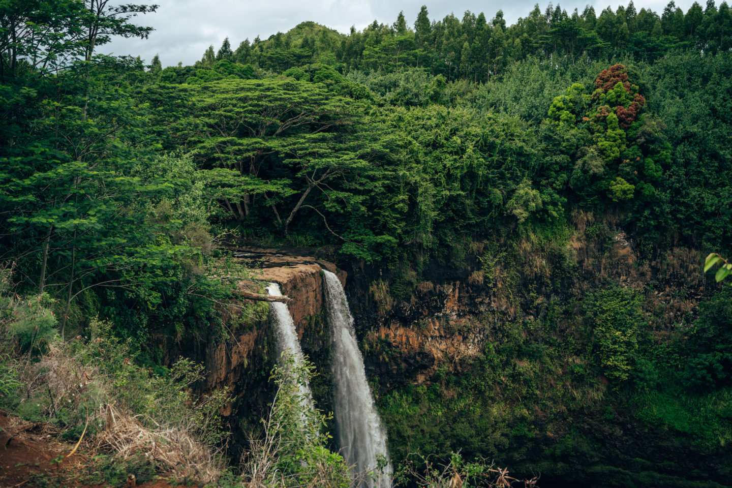 Wailua Falls - Wailua Falls State Park, Kaua'i