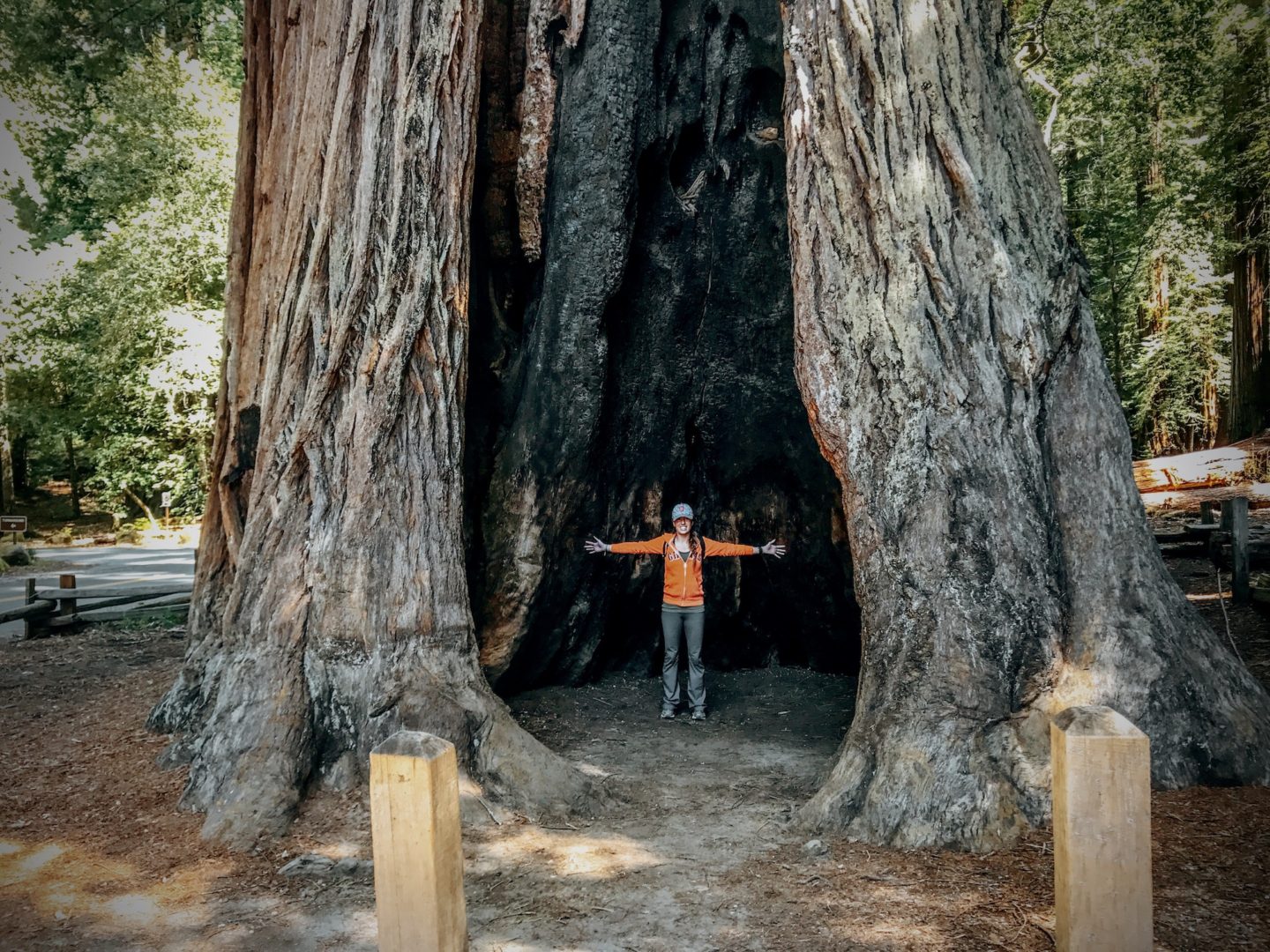 Katy inside of tree - Big Basin Redwoods State Park
