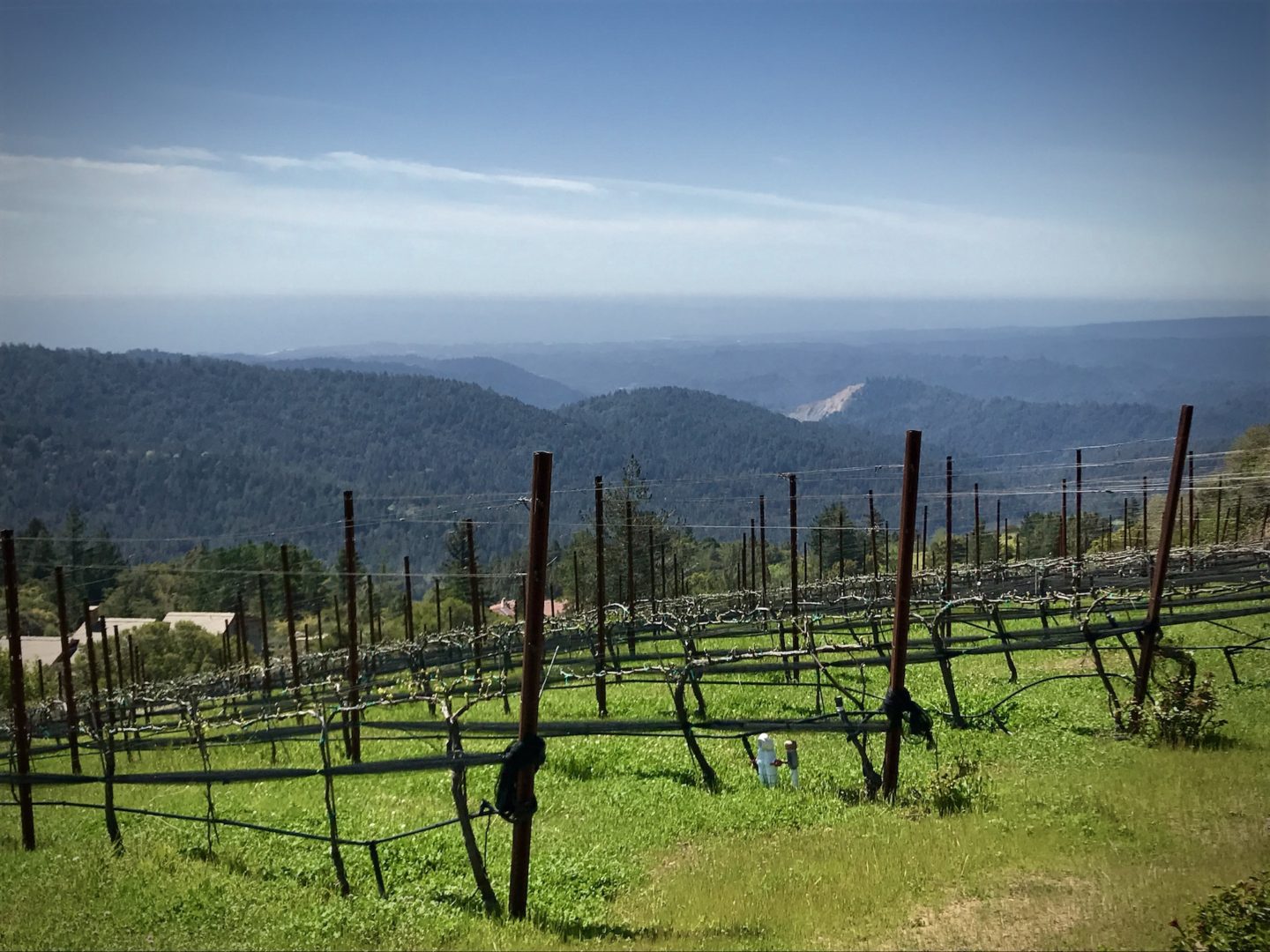 Loma Prieta Winery - Santa Cruz Mountains