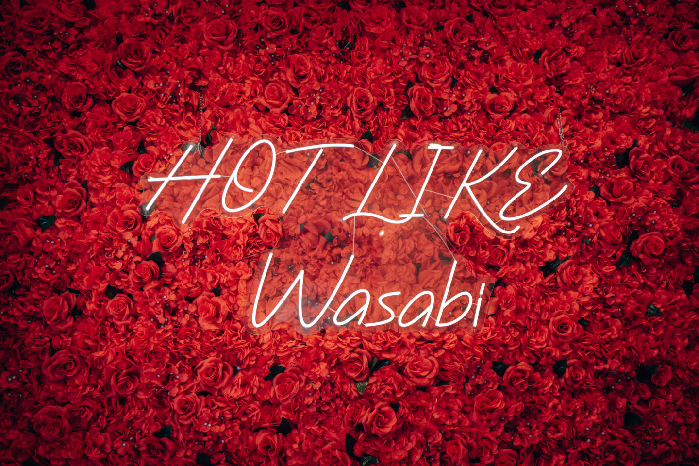 Hot Like Wasabi - Sushi Confidential, Morgan Hill