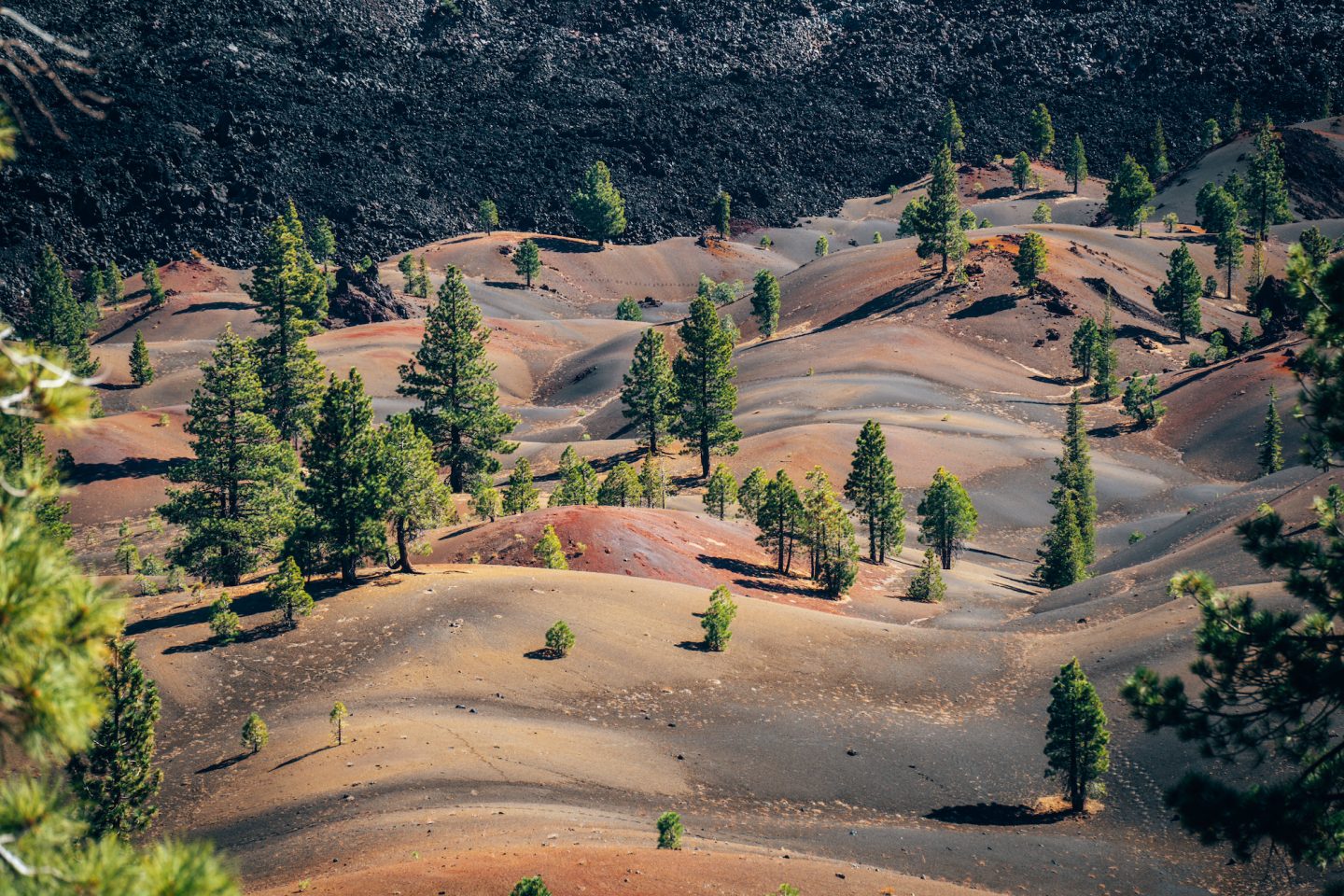 Painted Dunes from Cinder Cone Volcano