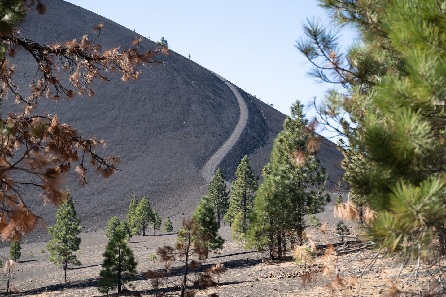 Steep trail up the frontside of Cinder Cone