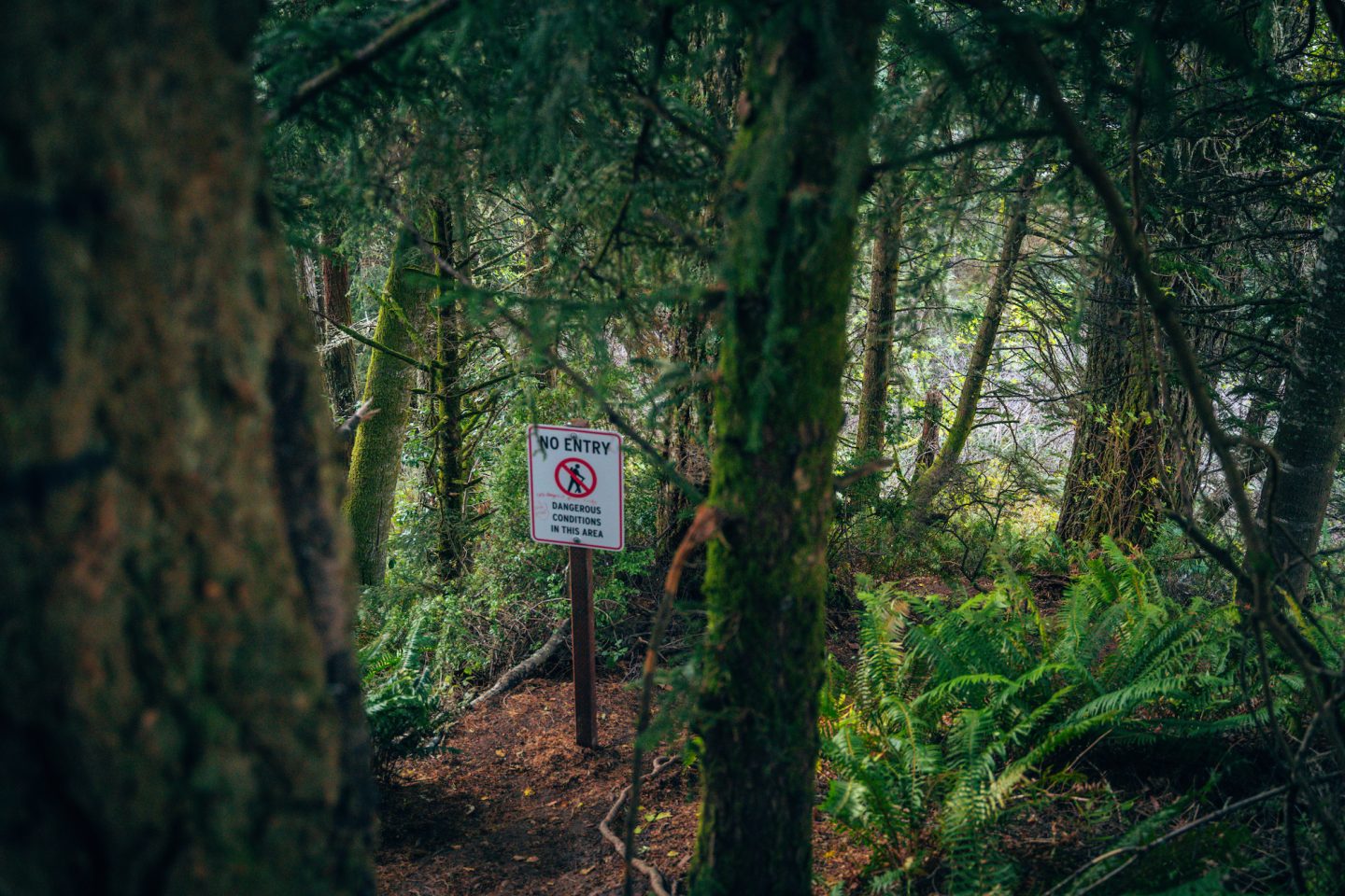No Entry Signs at Natural Bridge Trail - Samuel H Boardman Scenic Corridor, Oregon Coast