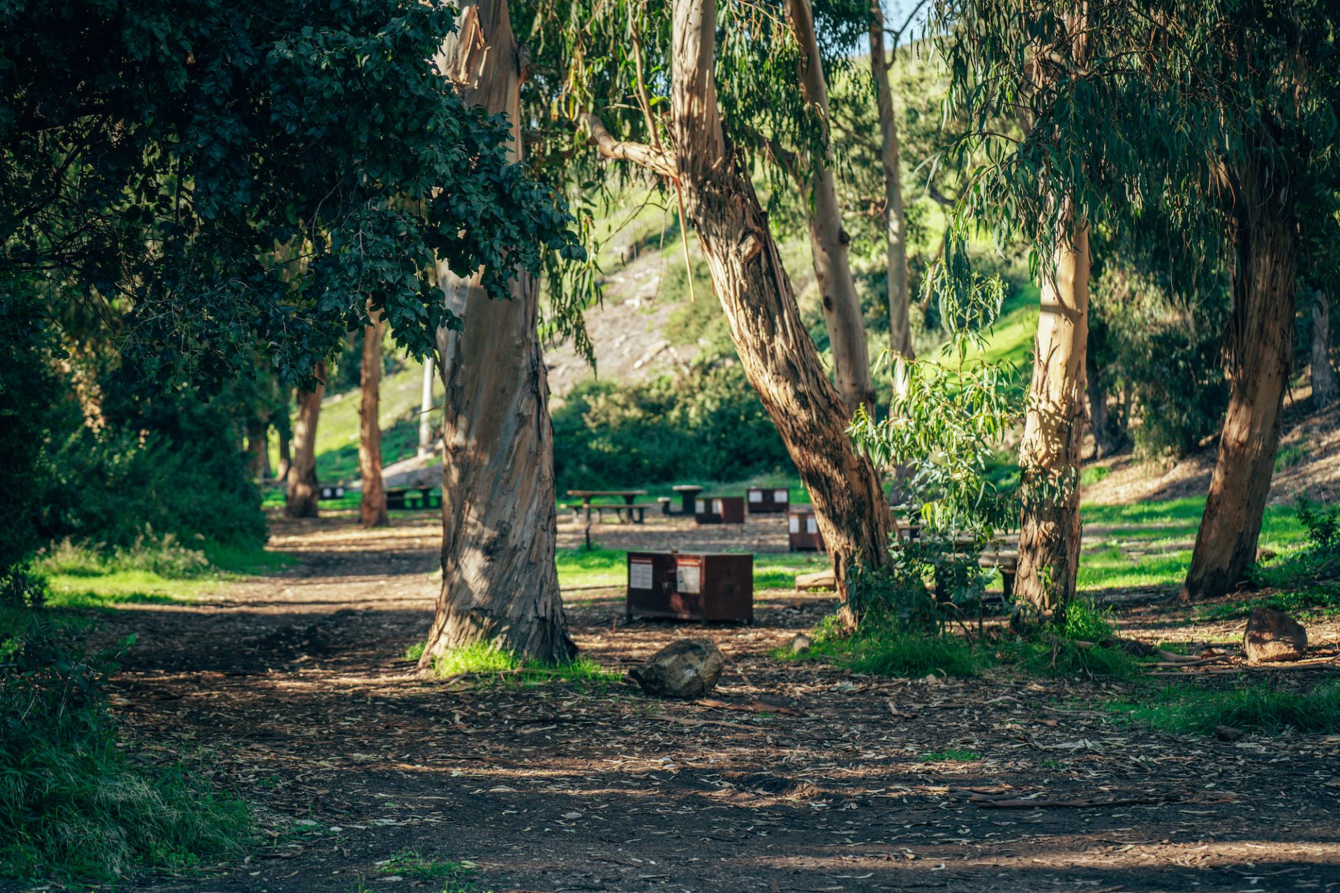 Ultimate Guide To Channel Islands National Park Santa Cruz Island