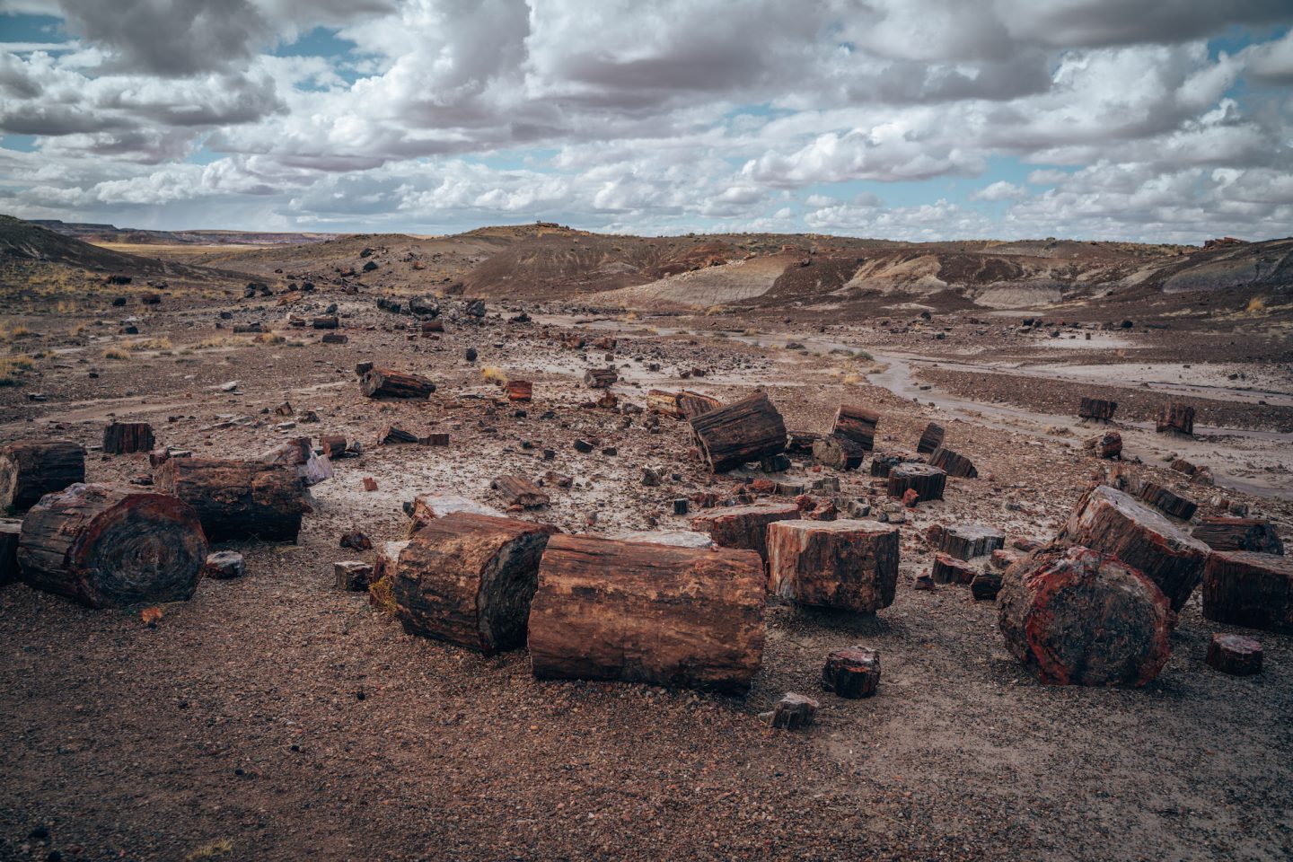 ULTIMATE GUIDE TO PETRIFIED FOREST NATIONAL PARK - Smilkos Lens