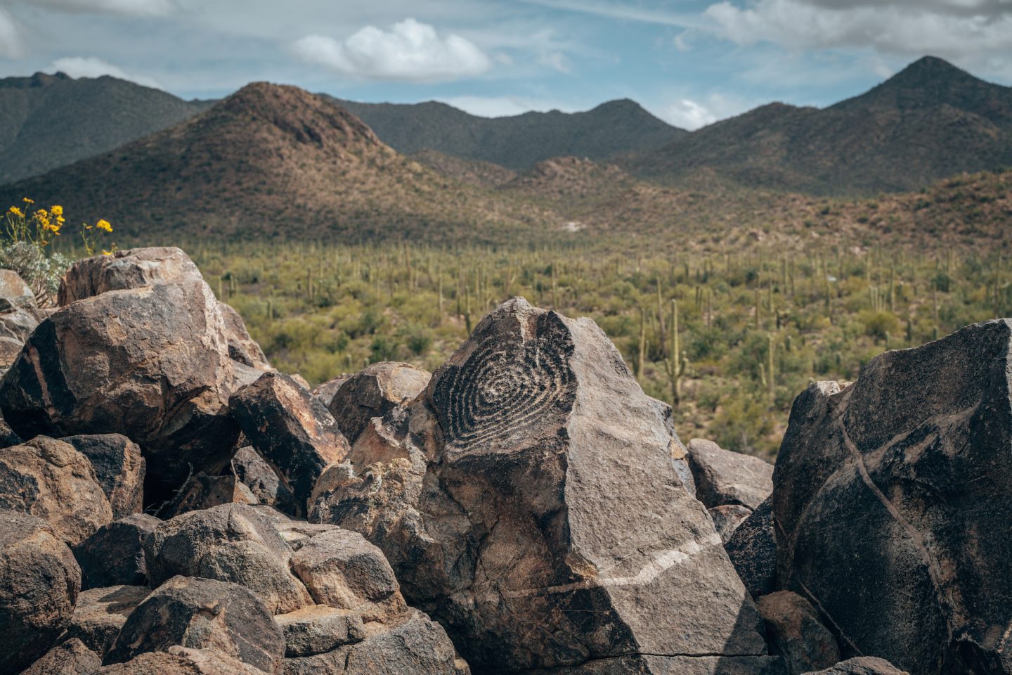 Petroglyphs at Signal Hill - Saguaro National Park West
