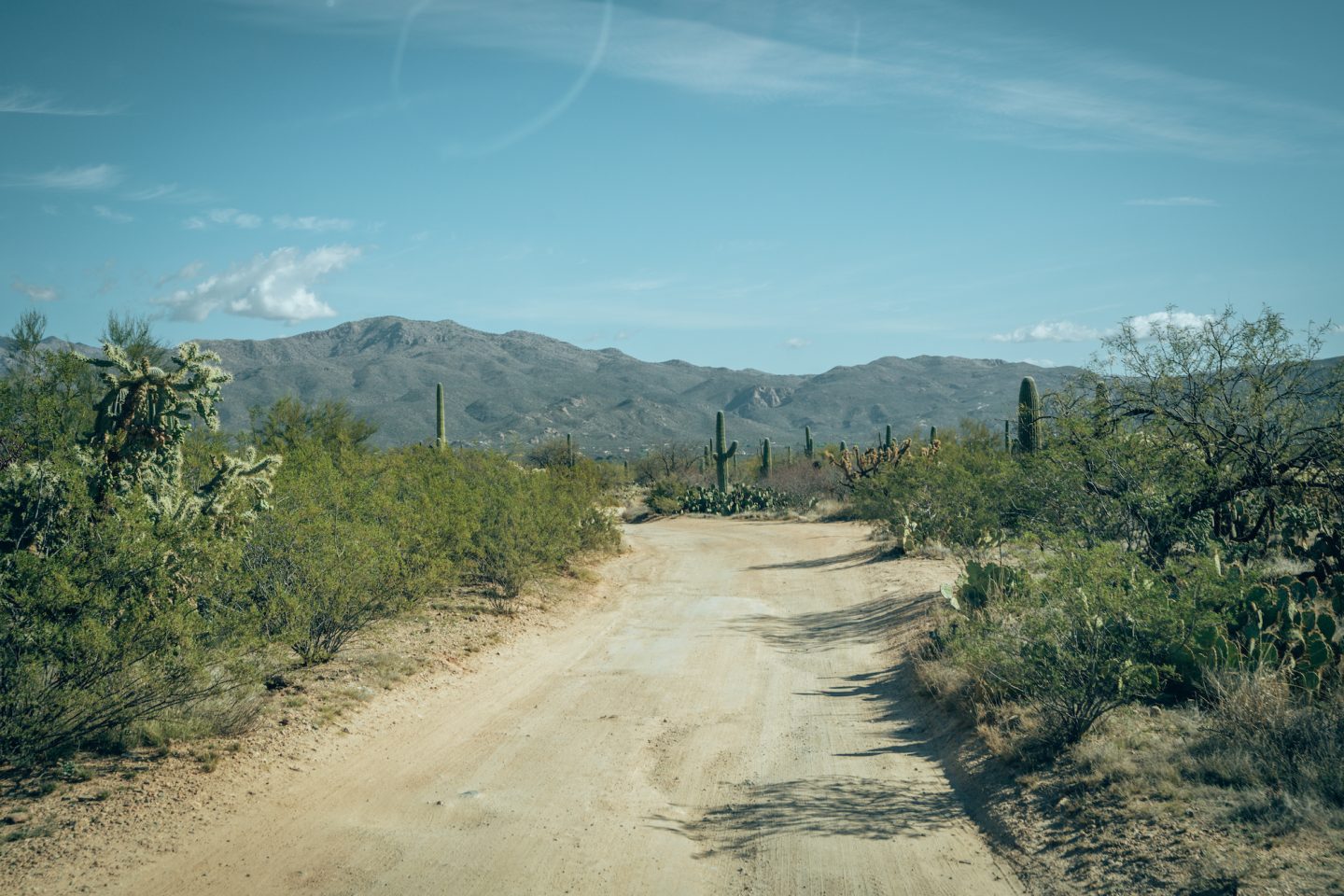 Mica View Road - Saguaro National Park East