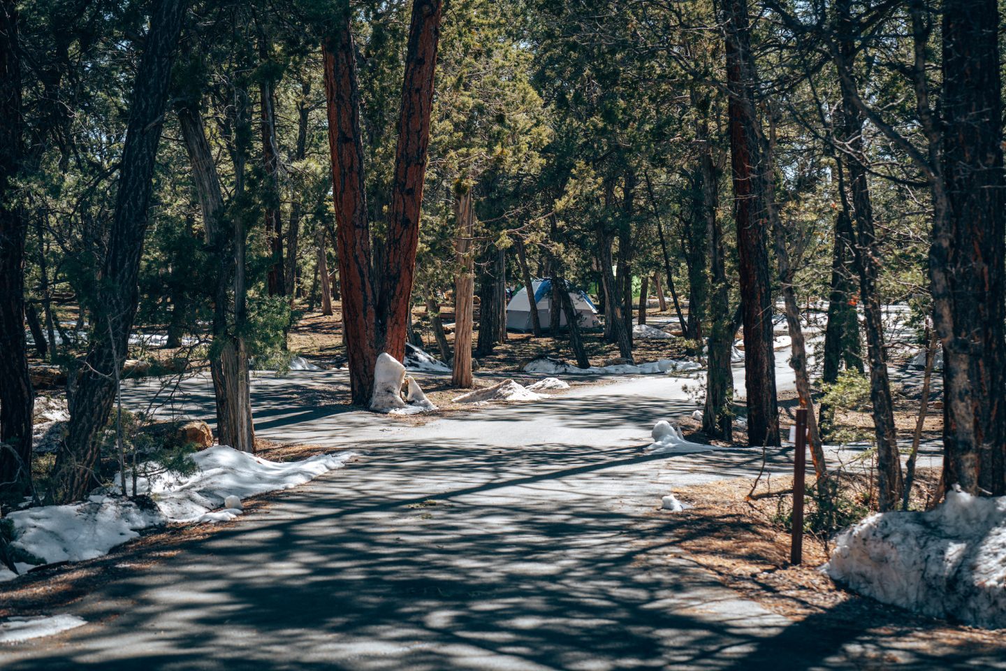 Mather Campground - Grand Canyon National Park, Arizona