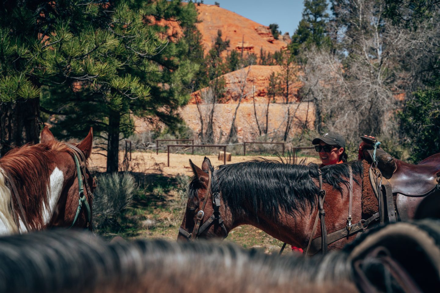 Horseback Riding - Red Canyon, Utah