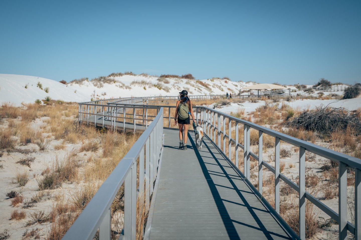 Interdune Boardwalk Trail - White Sands National Park, New Mexico