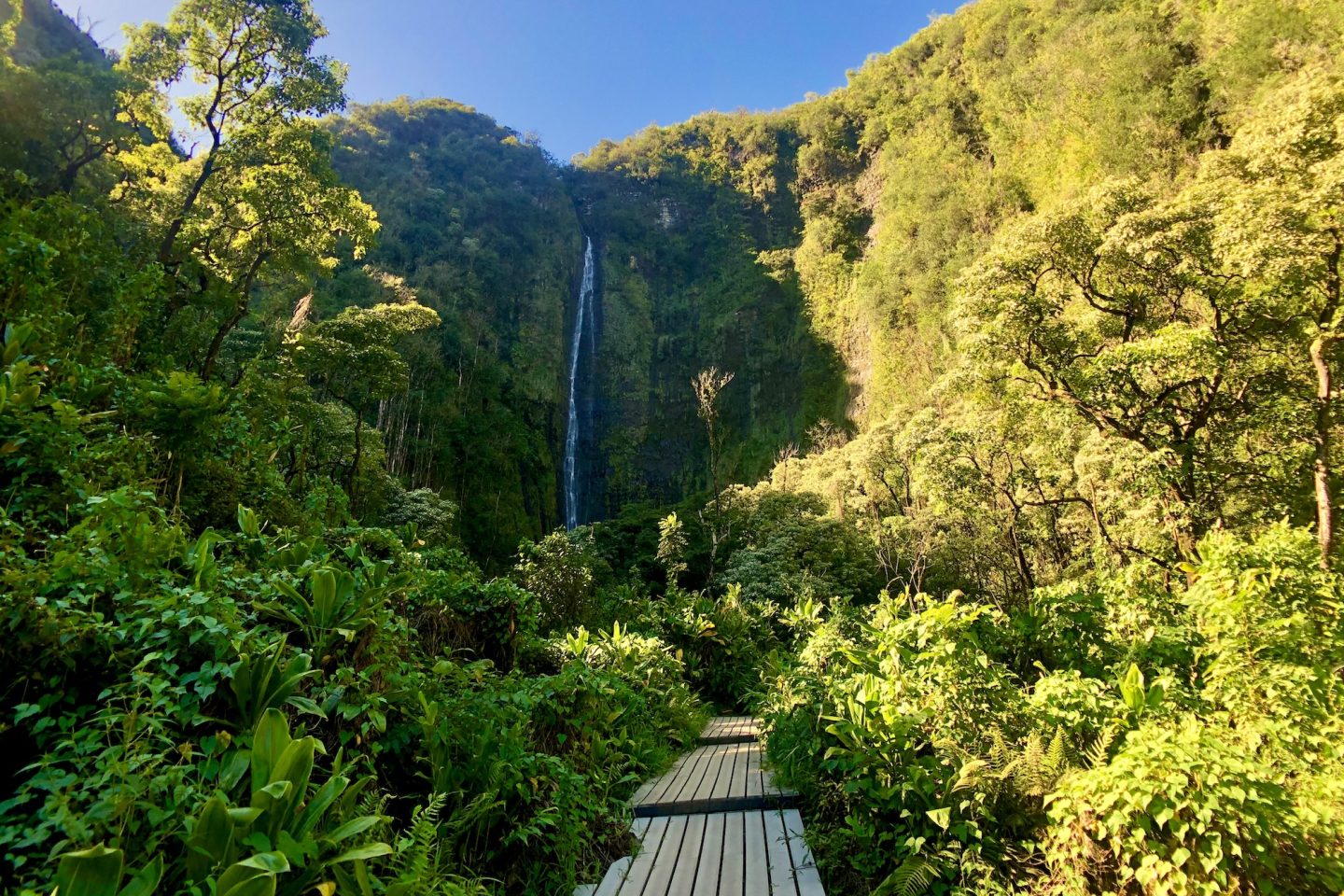 Waimoku Falls - Haleakalā National Park, Hawaii