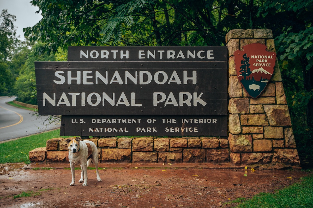 Shenandoah National Park 