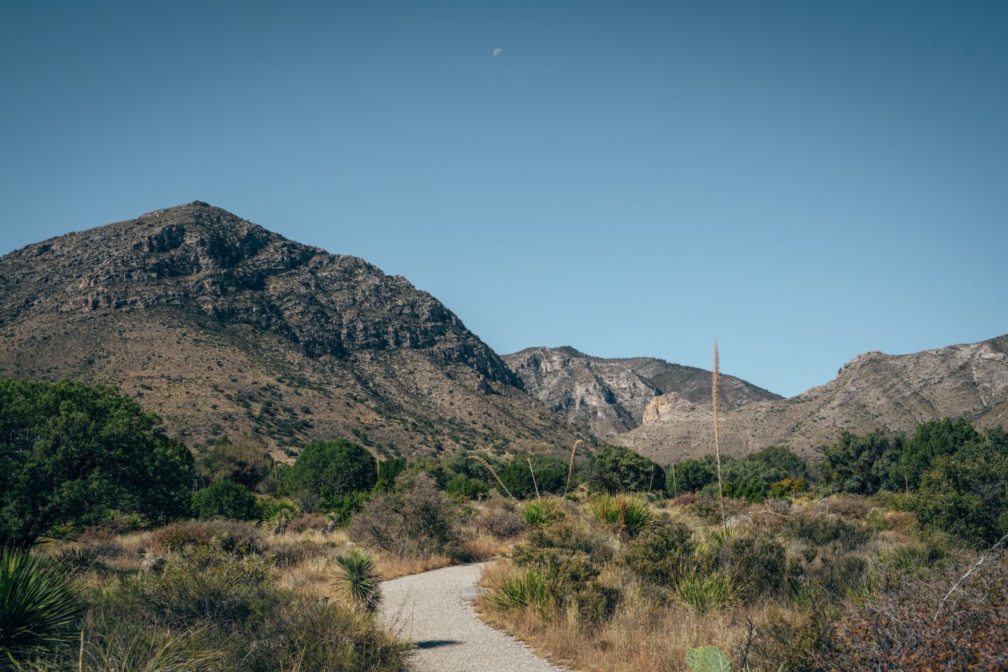 McKittrick Canyon Nature Loop - Guadalupe Mountains National Park, Texas