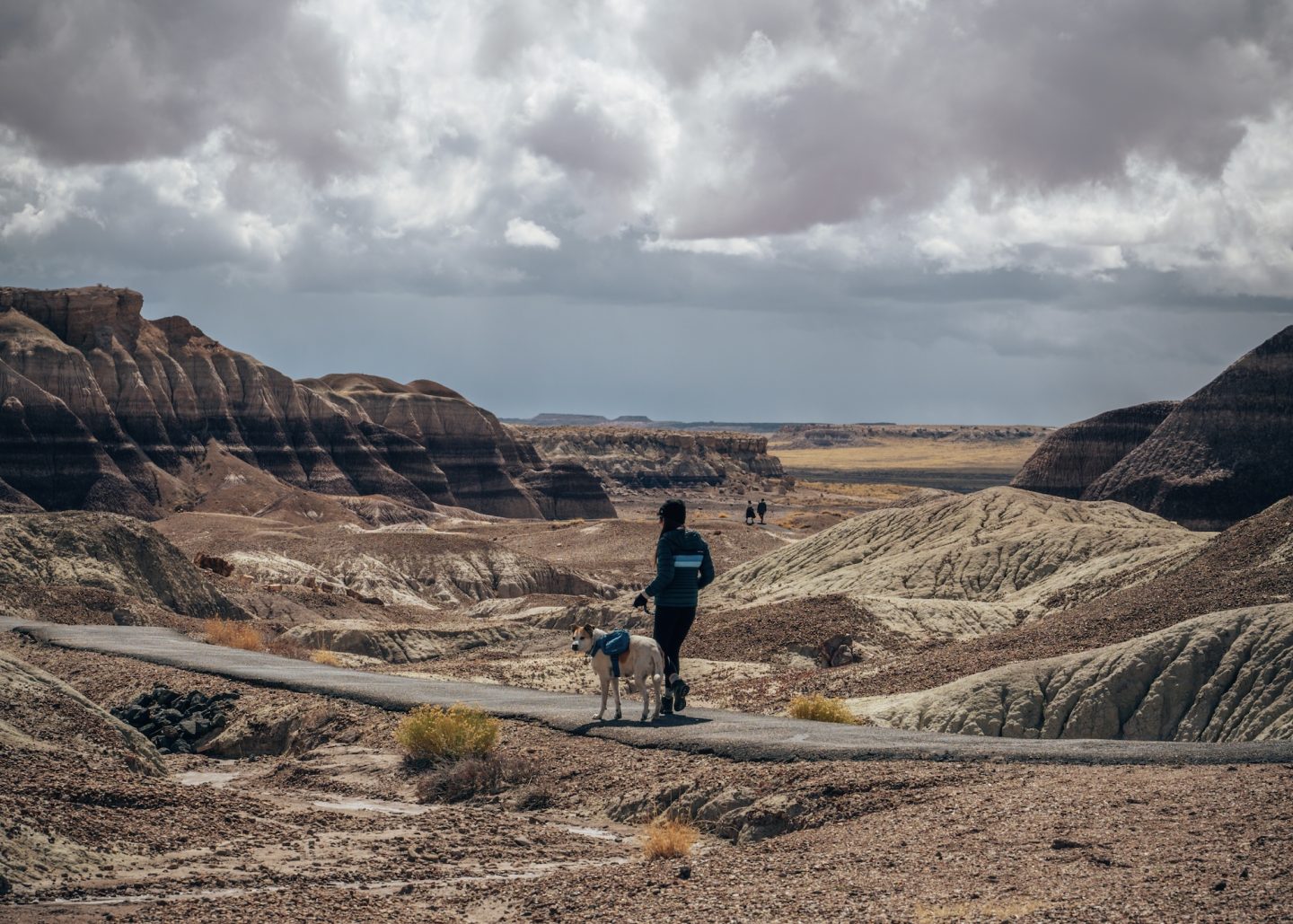 Dog-friendly trail in Petrified Forest National Park