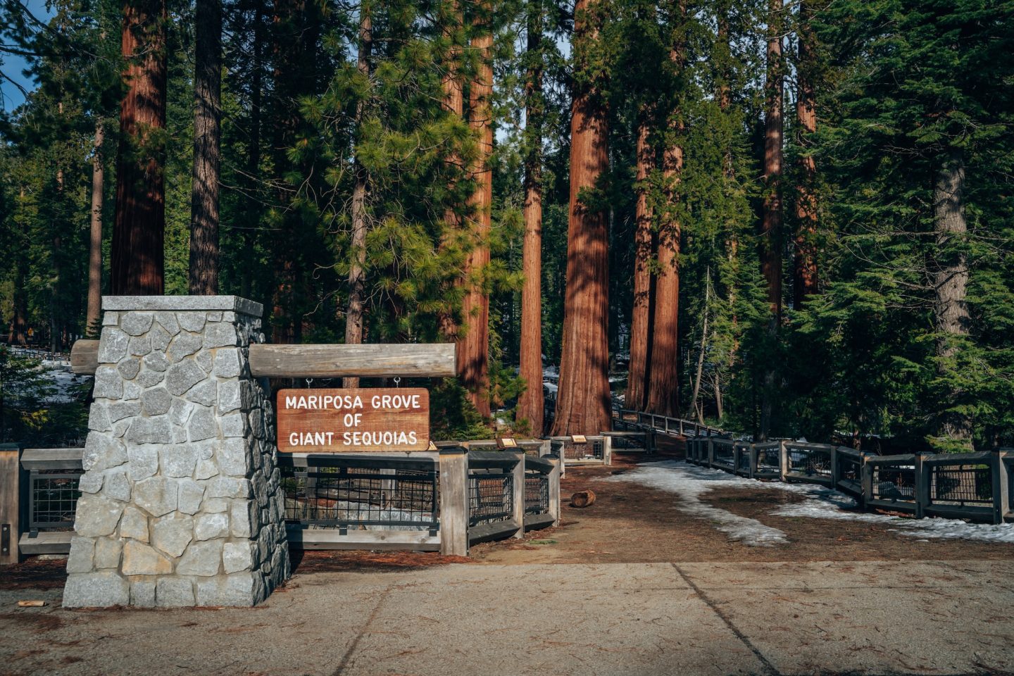 Mariposa Grove of Giant Sequoias - Yosemite National Park
