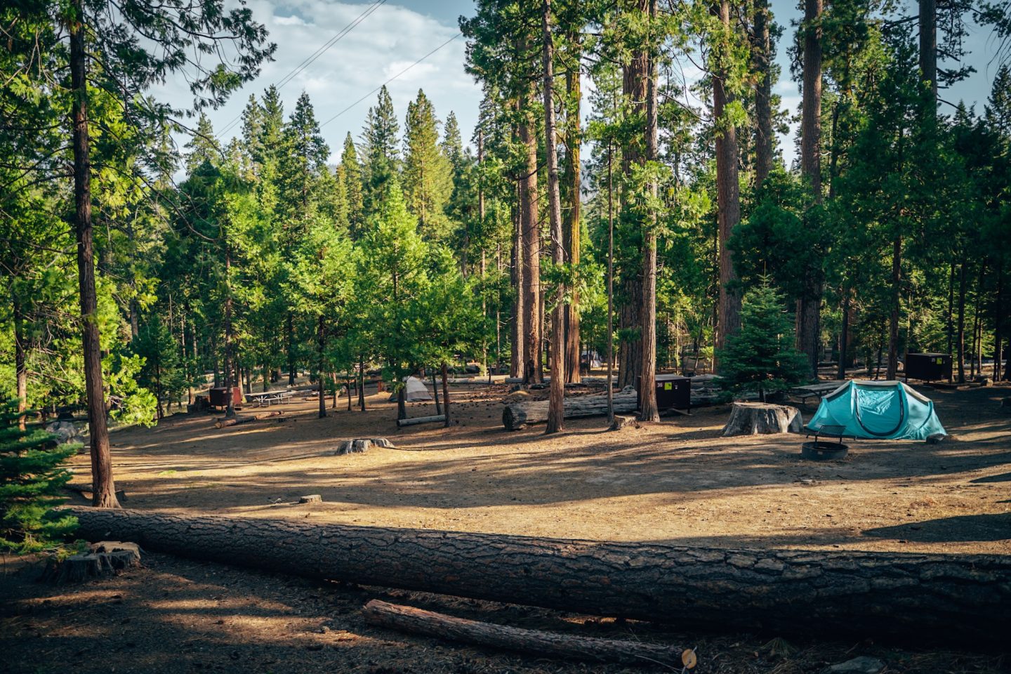 Hodgdon Meadow Campground in Yosemite National Park