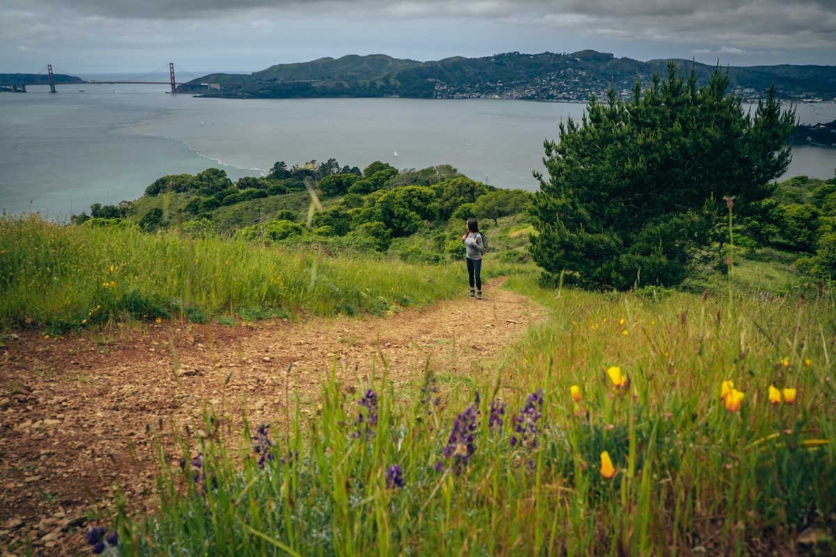 Golden Gate Bridge view from hiking trail on Angel Island