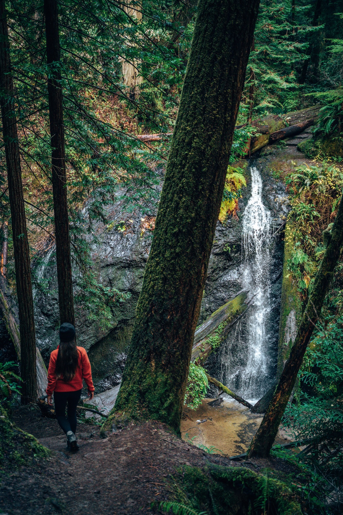 Russian Gulch Waterfall - Mendocino, California