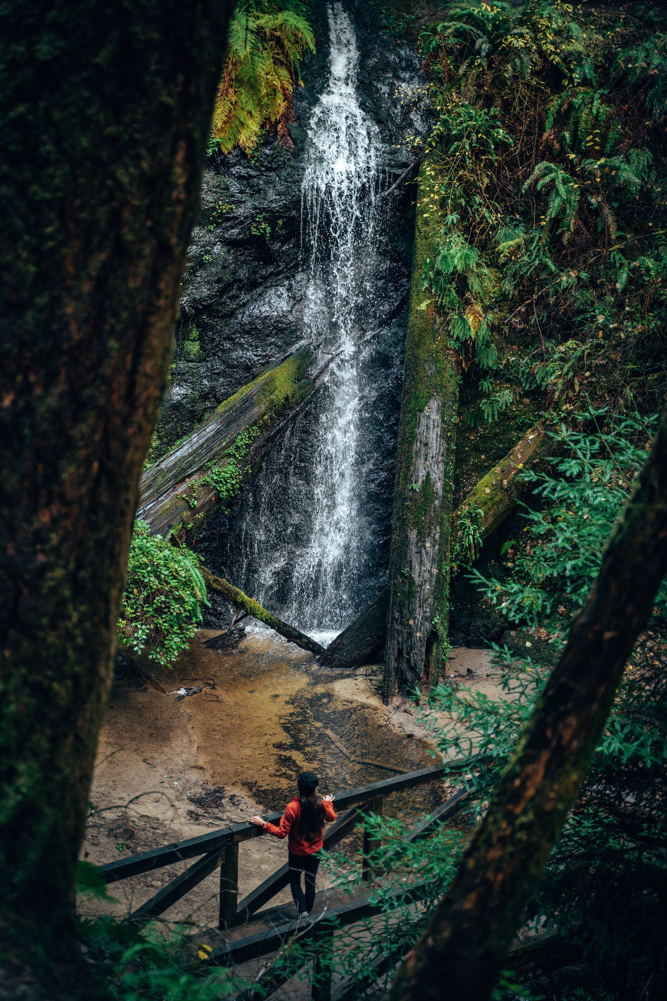 Fern Canyon and Waterfall Loop - Russian Gulch State Park