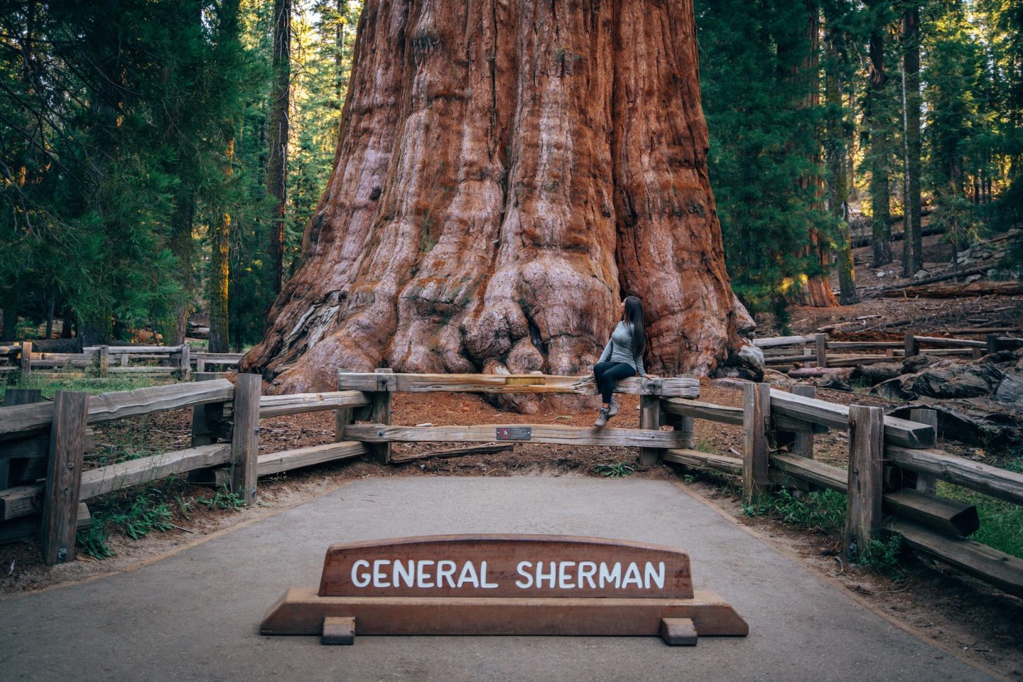 General Sherman Tree - Sequoia National Park