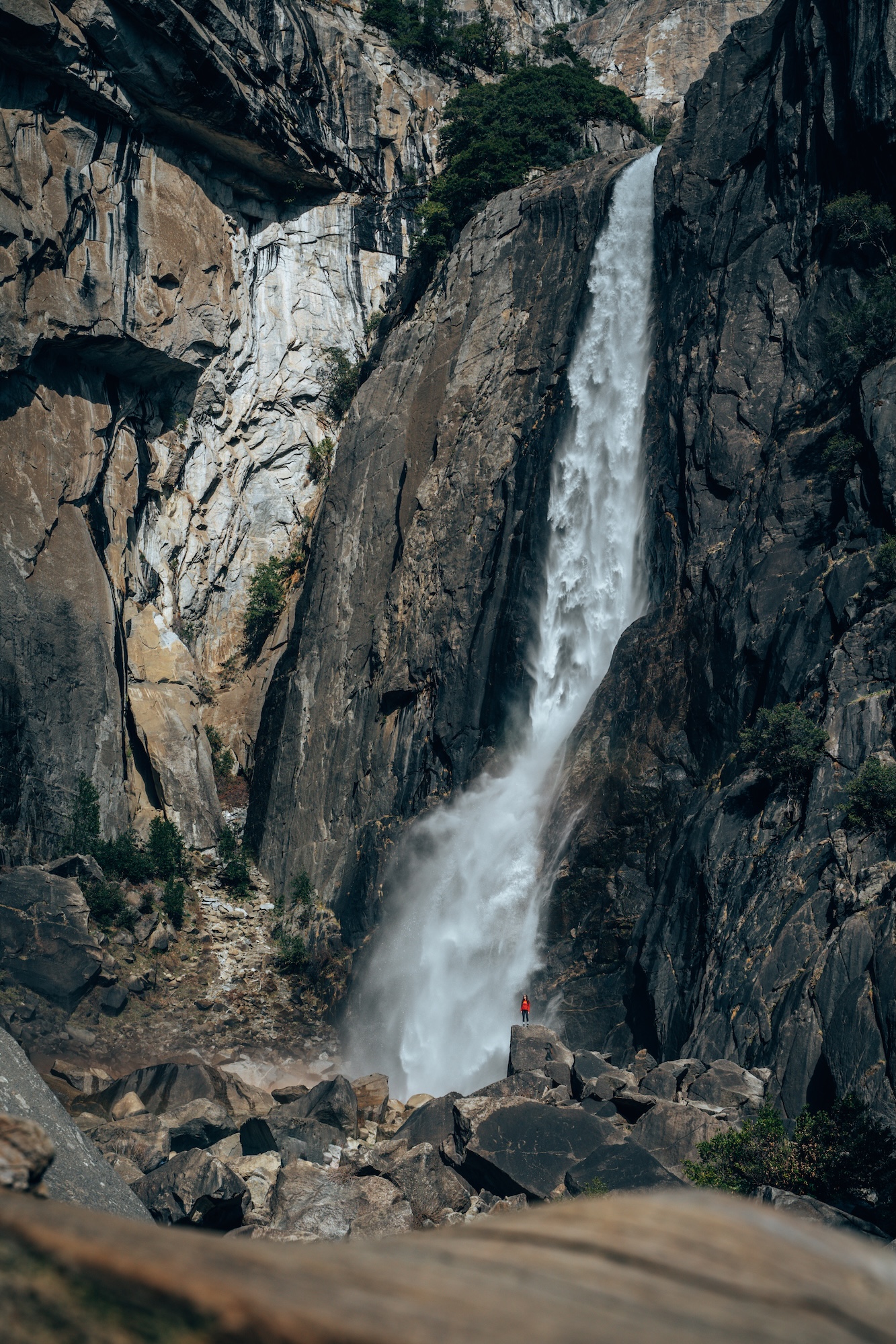 Lower Yosemite Fall - Yosemite National Park